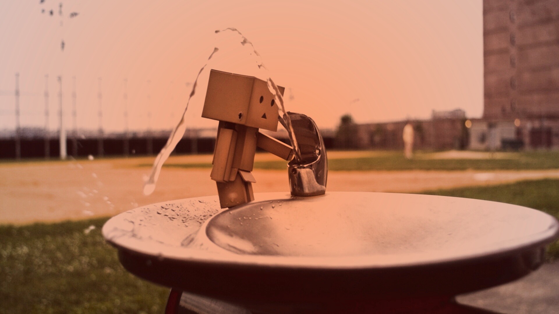 Дандо пьет в воду из фонтанчика обои