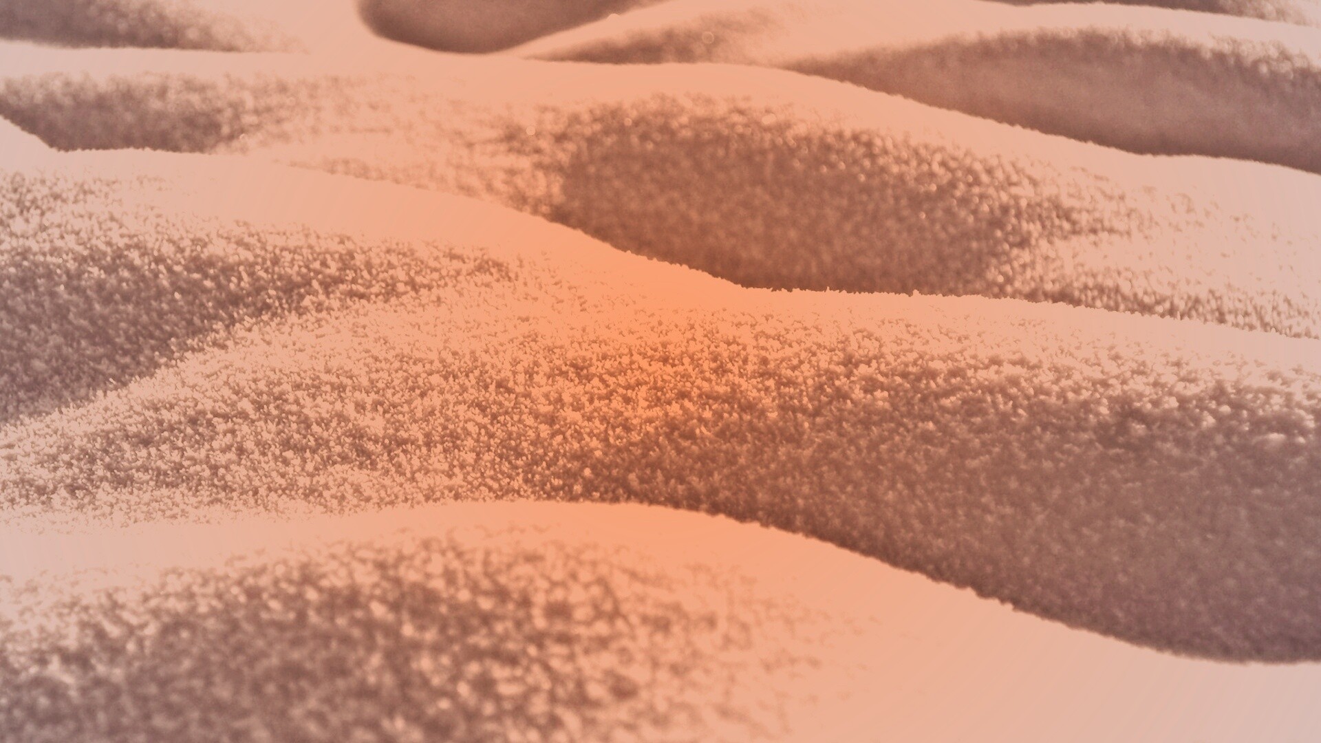 Песчаные бугры обои