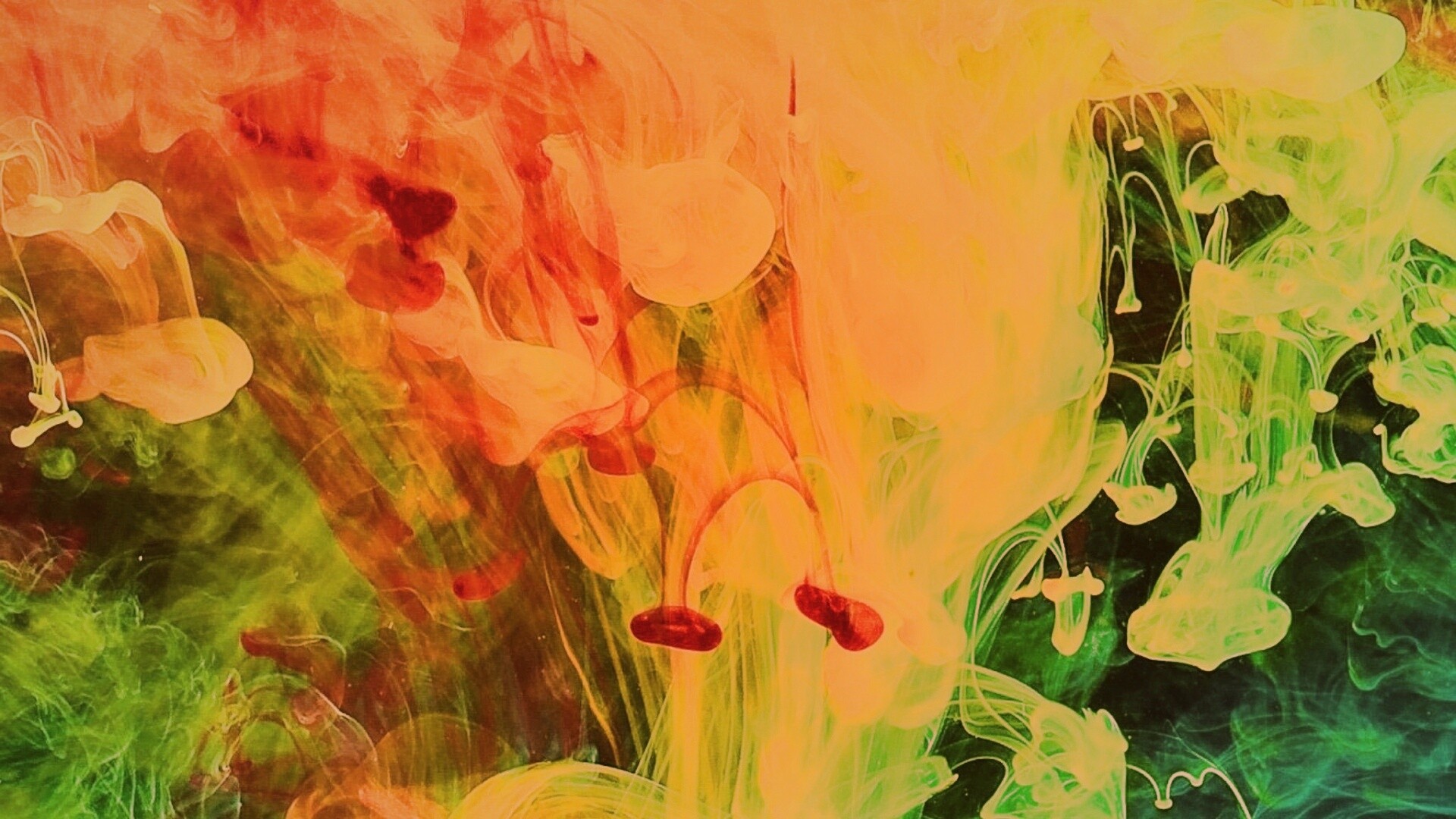 Краска растворяется в воде обои