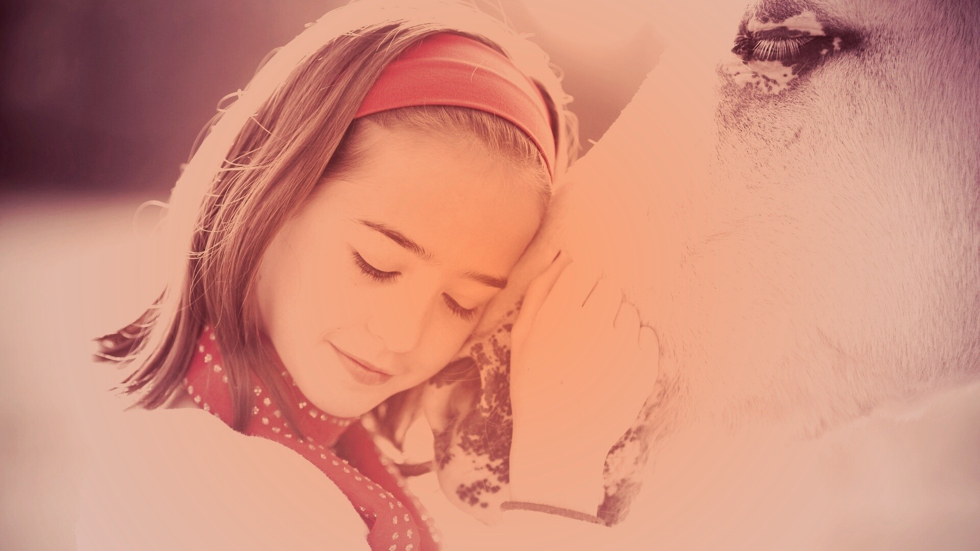 Девочка и лошадь обои