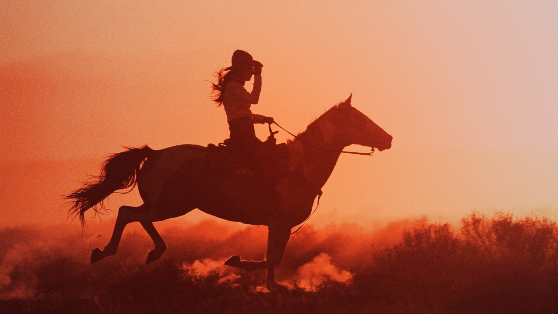 Наездница на закате обои