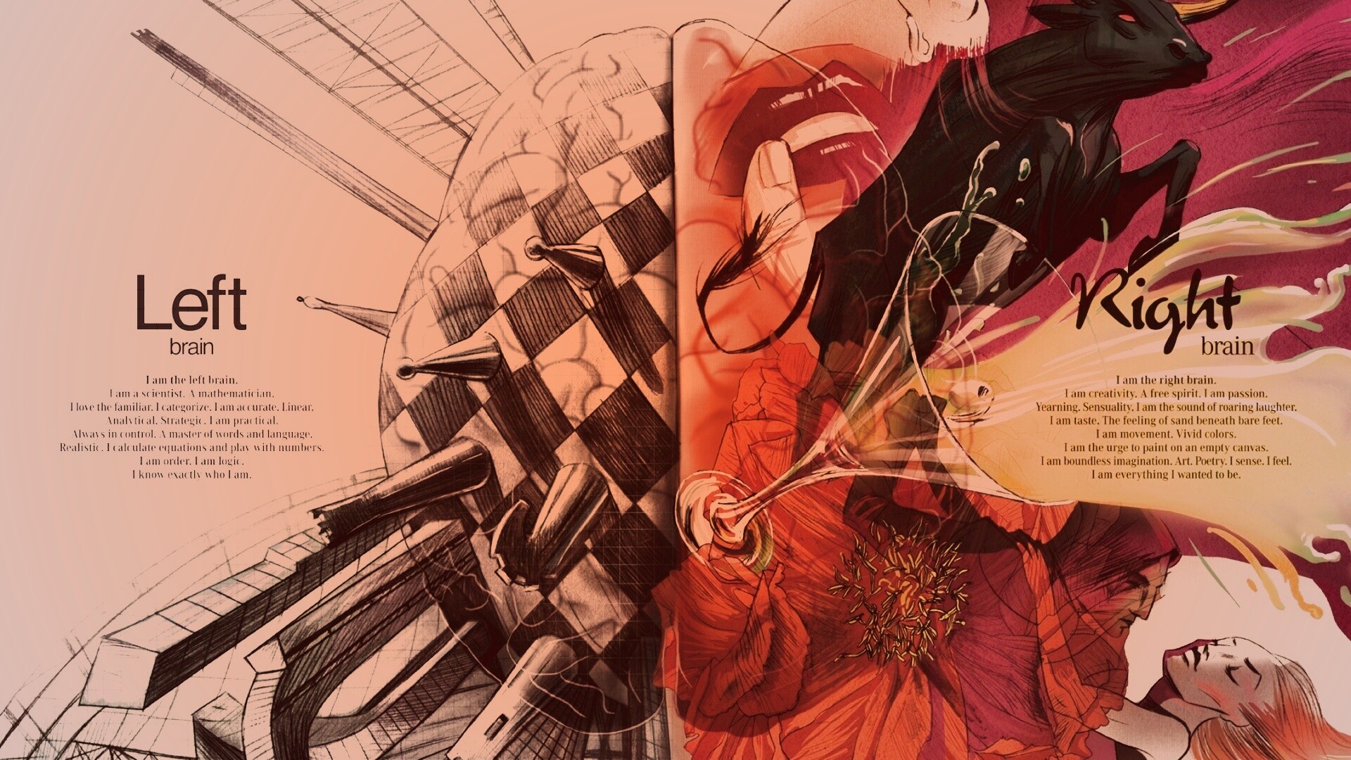 Левая и правая часть мозга обои