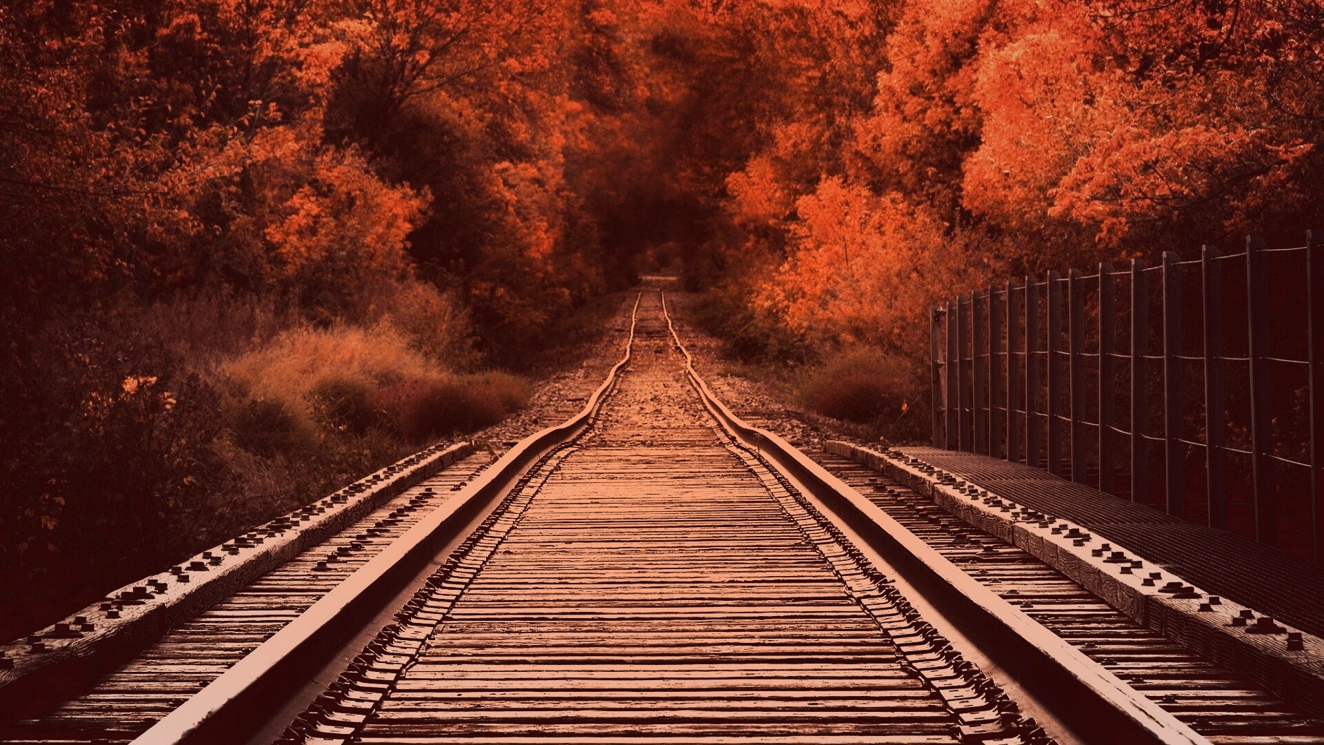 Железная дорога в осеннем лесу обои