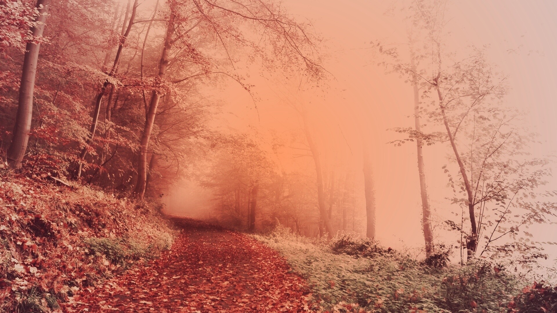 Осенний мистический пейзаж обои