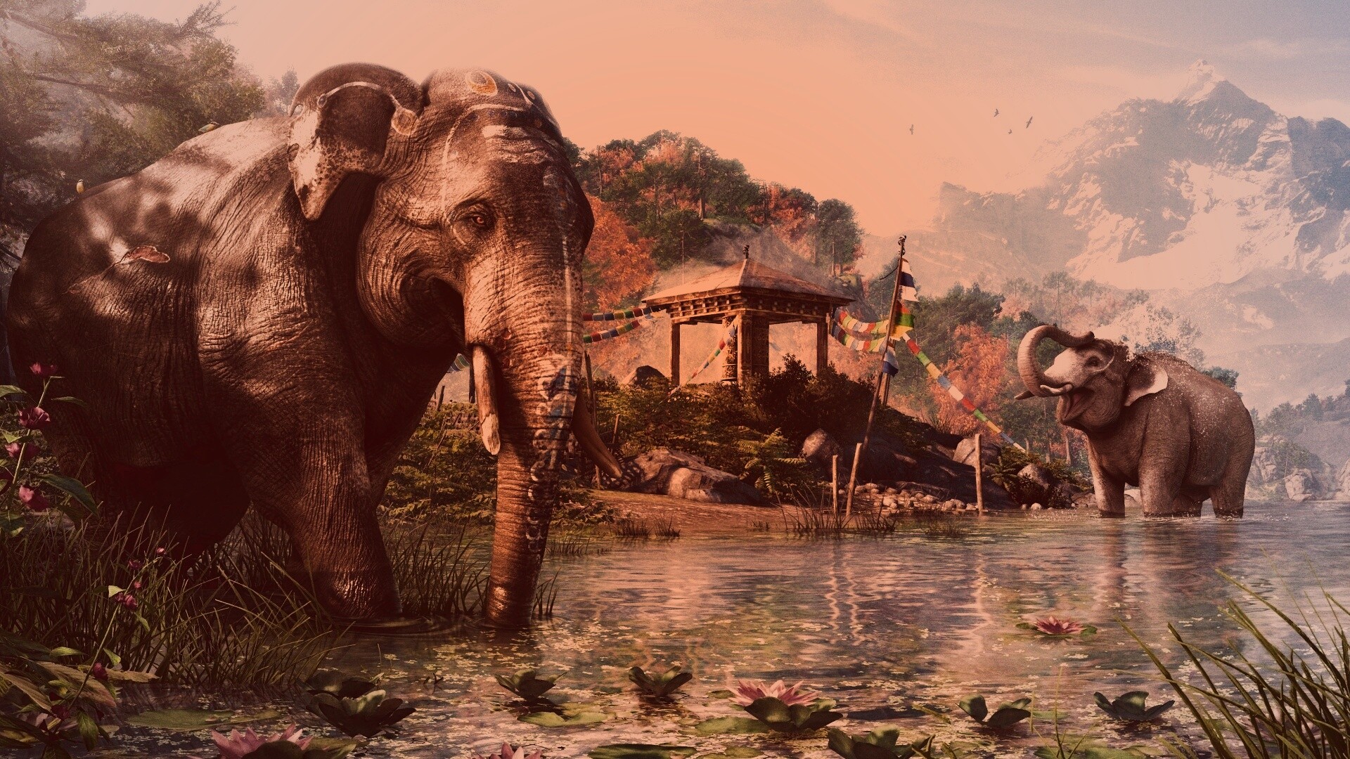 Слоники у воды обои