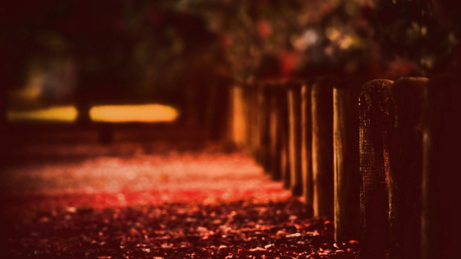 Аллея усеянная листвой обои