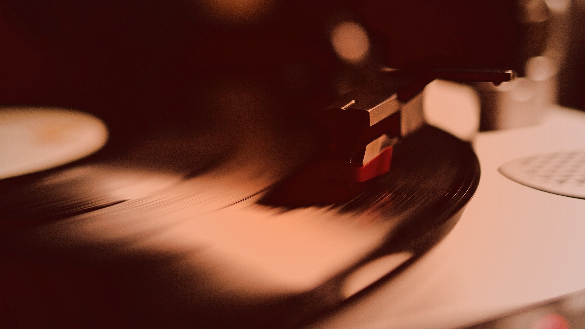 Пластинка обои