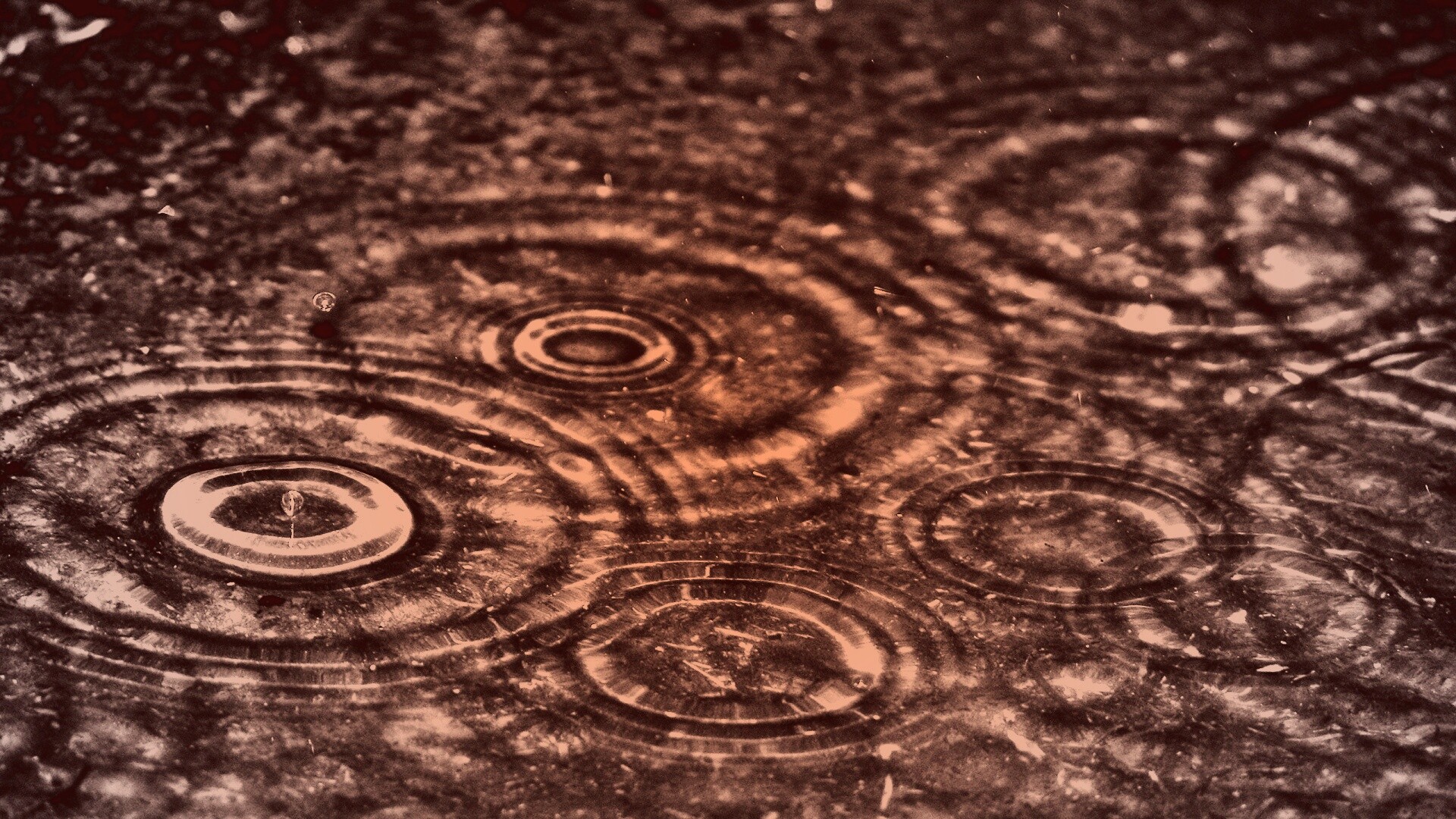 Круги на воде обои