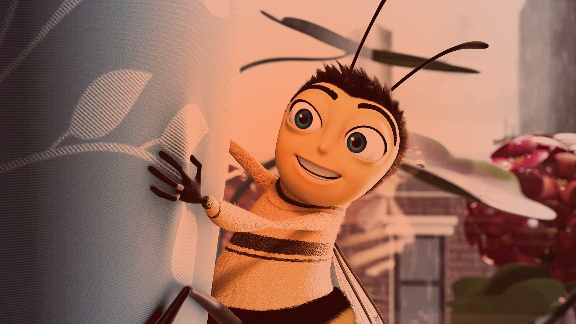 Бимуви обои