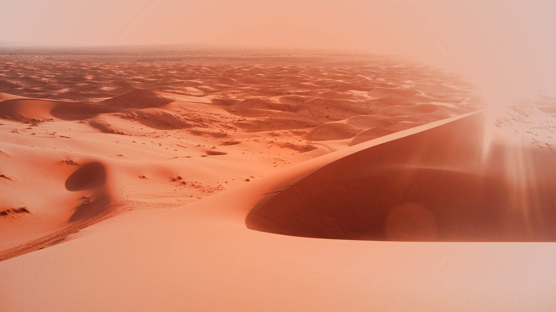 Солнечная пустыня обои