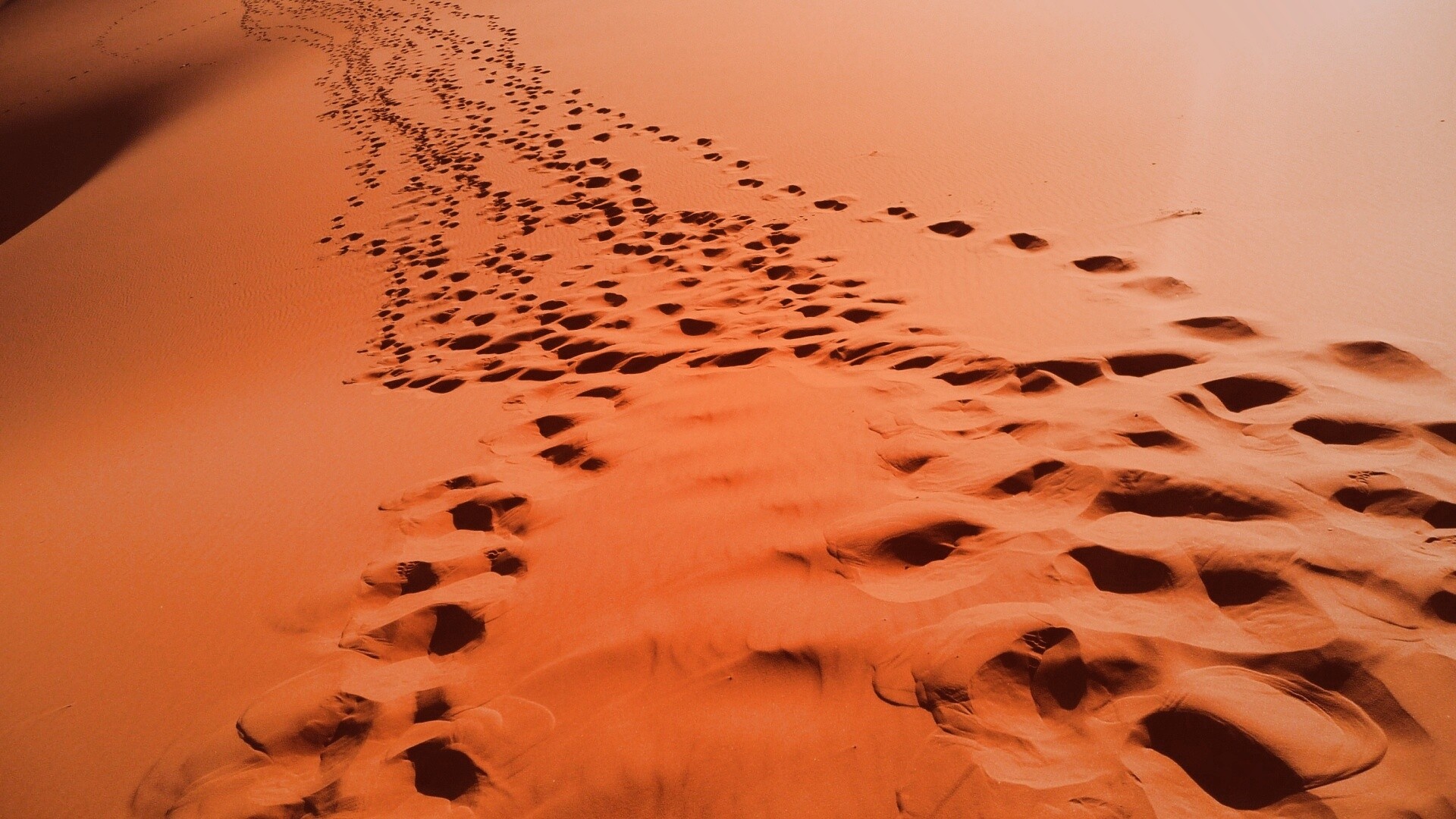 Следы в пустыне обои