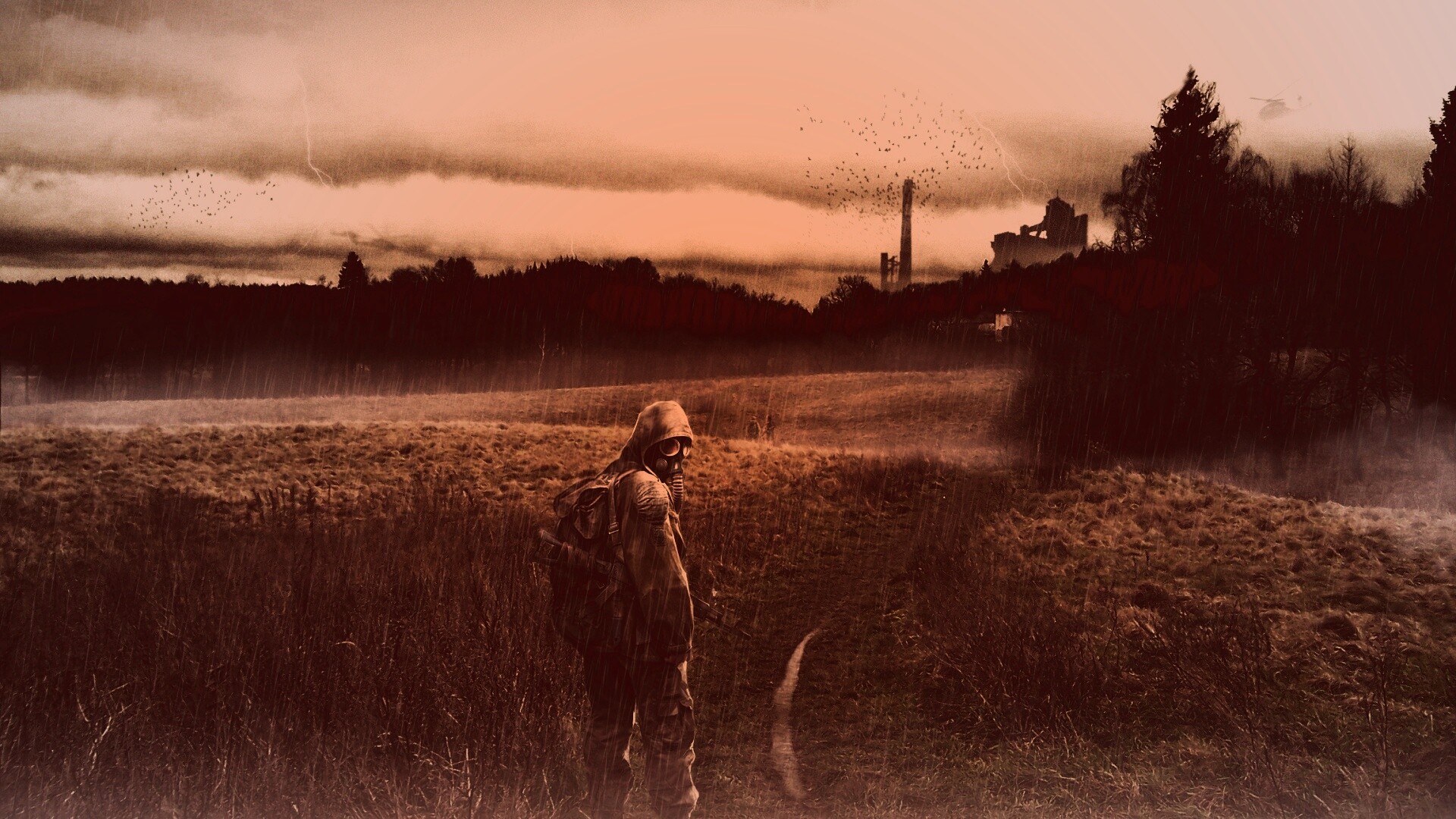 Сталкер под дождем обои
