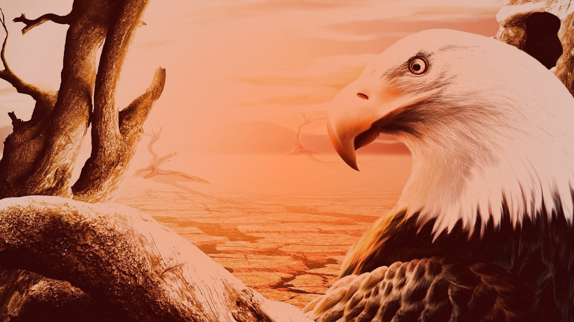 Нарисованный орел обои