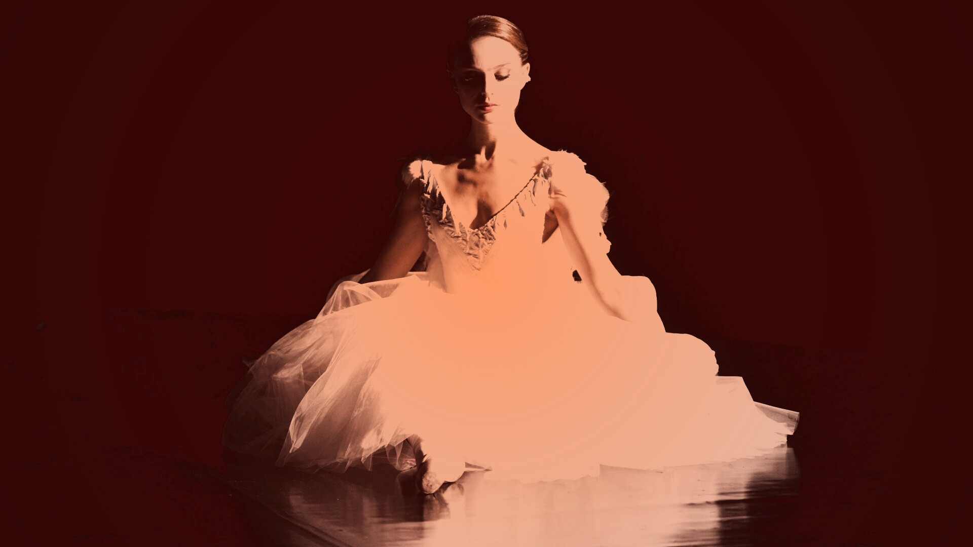 Черный лебедь обои