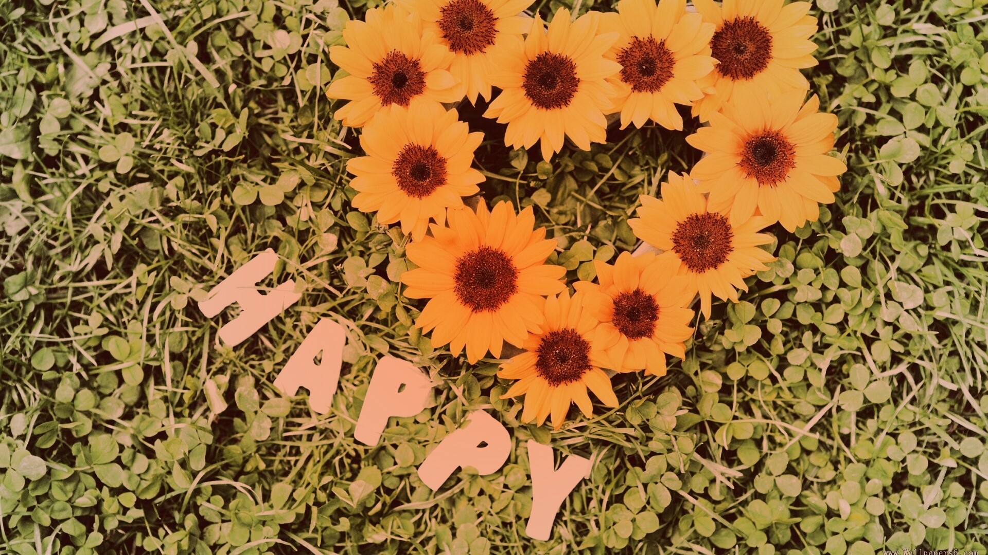 Радость обои