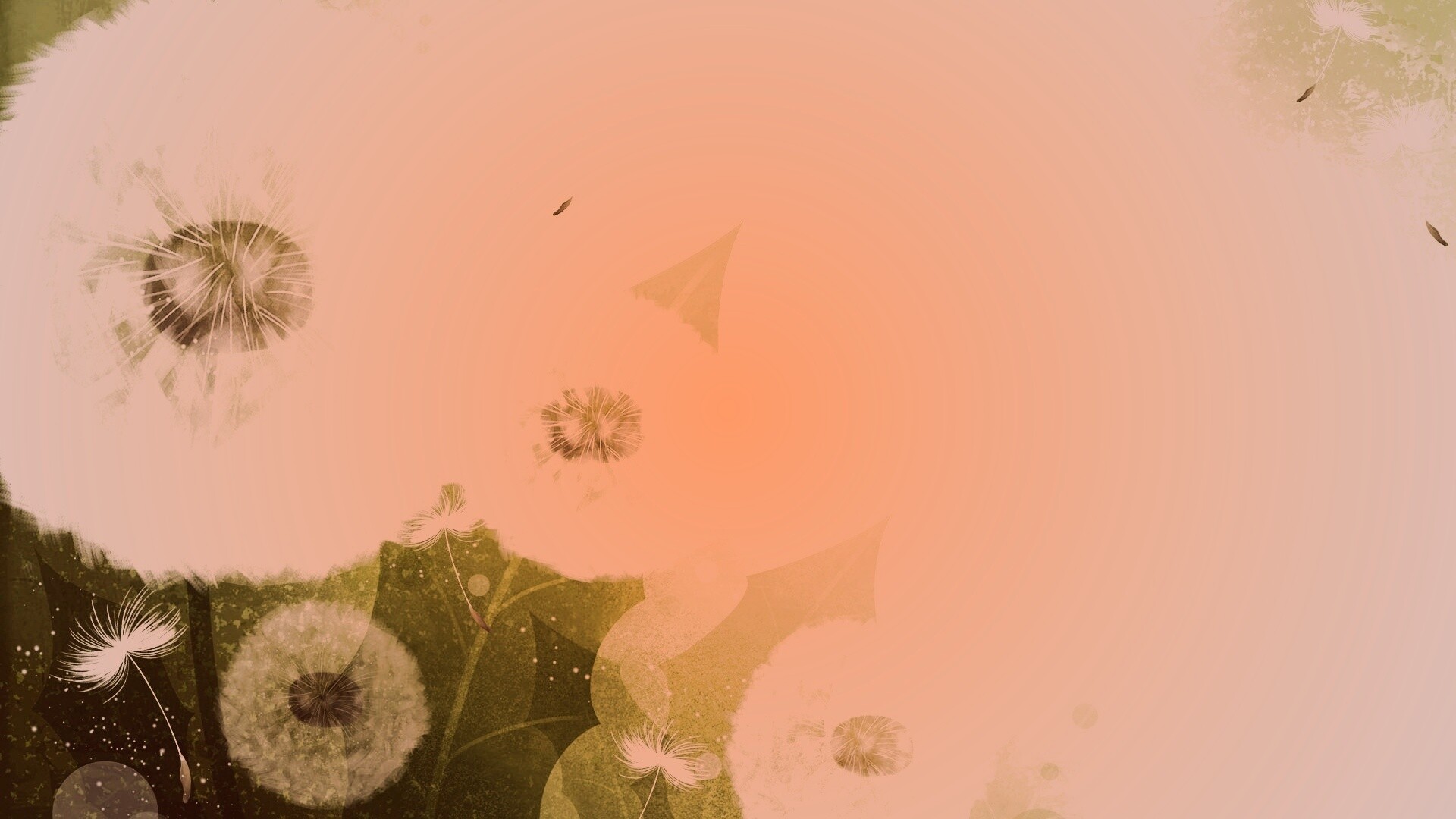 Одуванчики обои