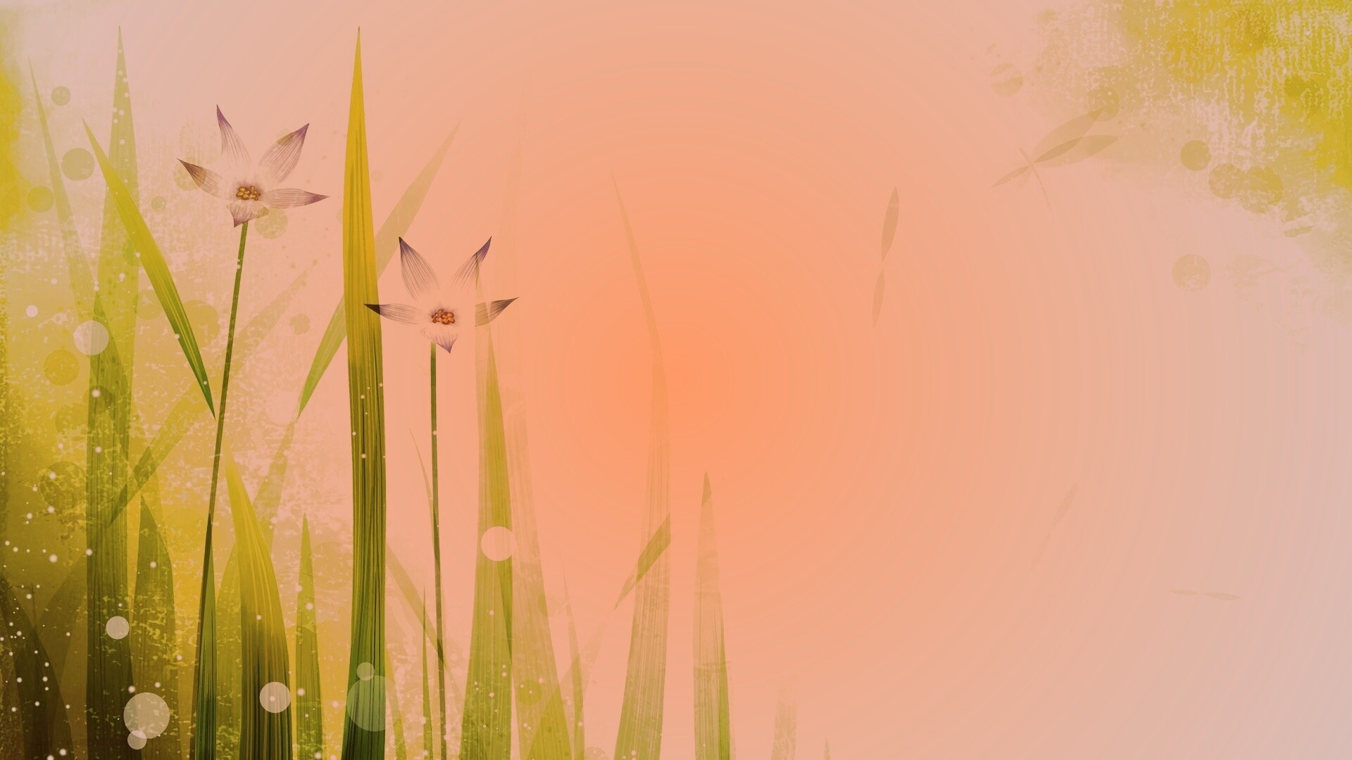 Векторные цветы обои