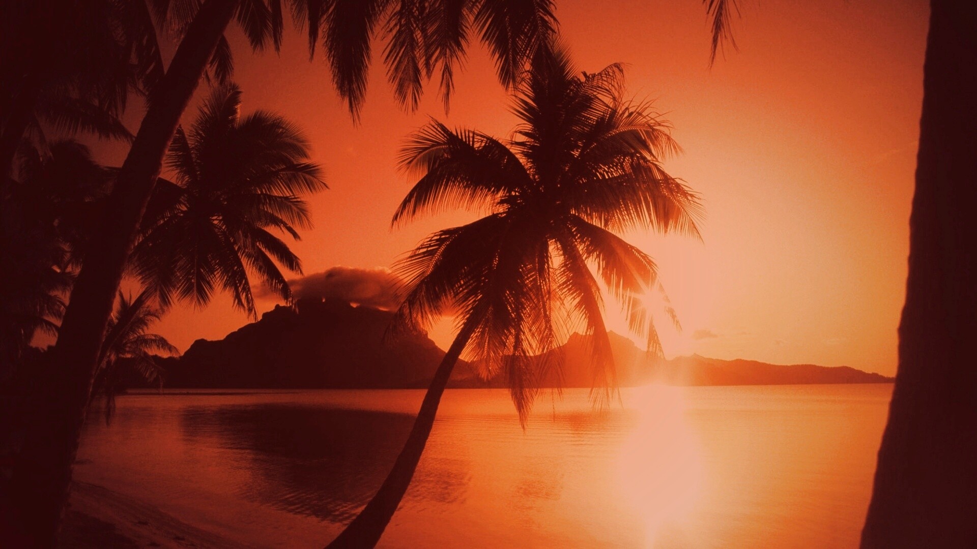 Закат в раю обои