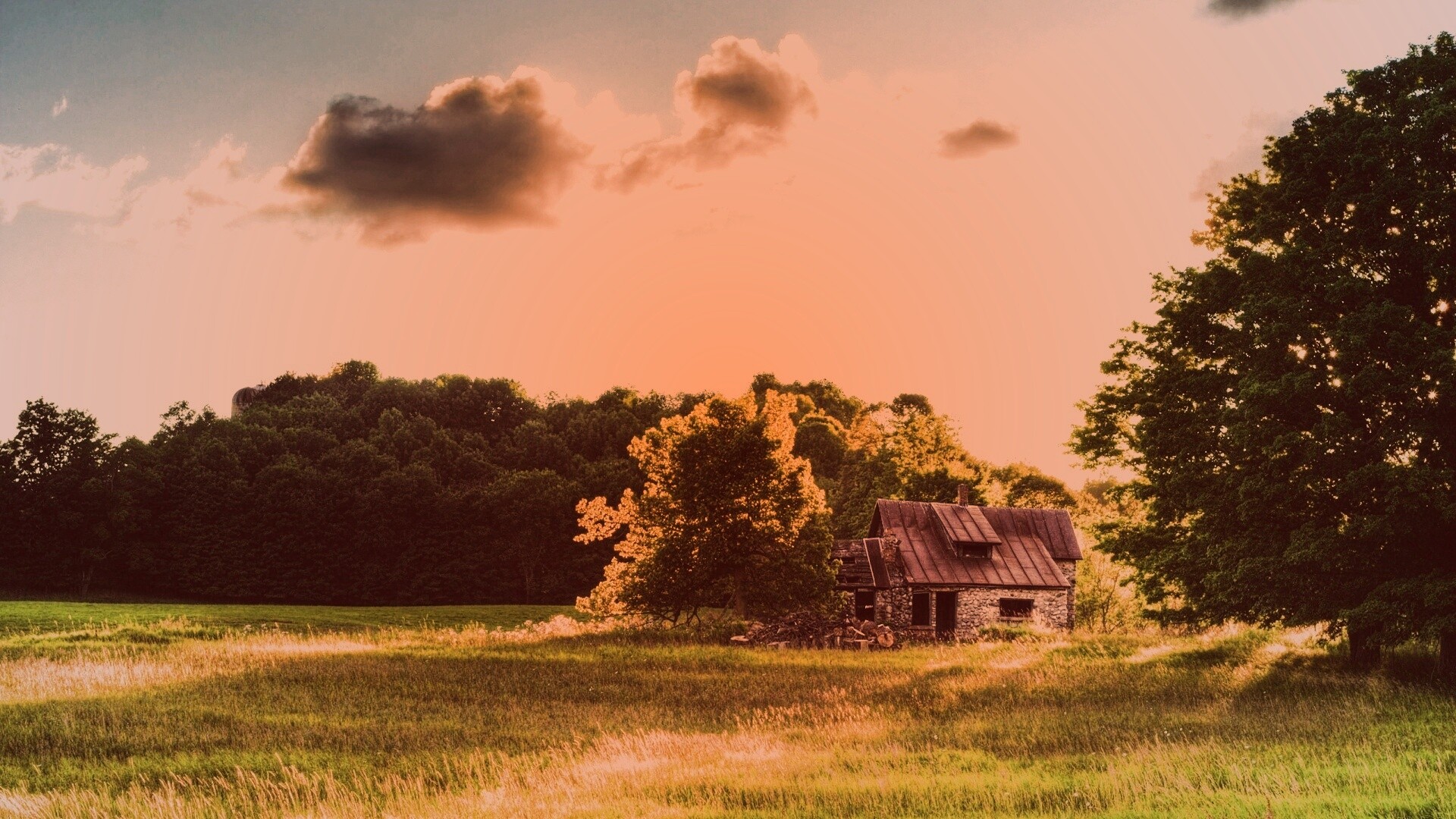 Домик в лесу обои