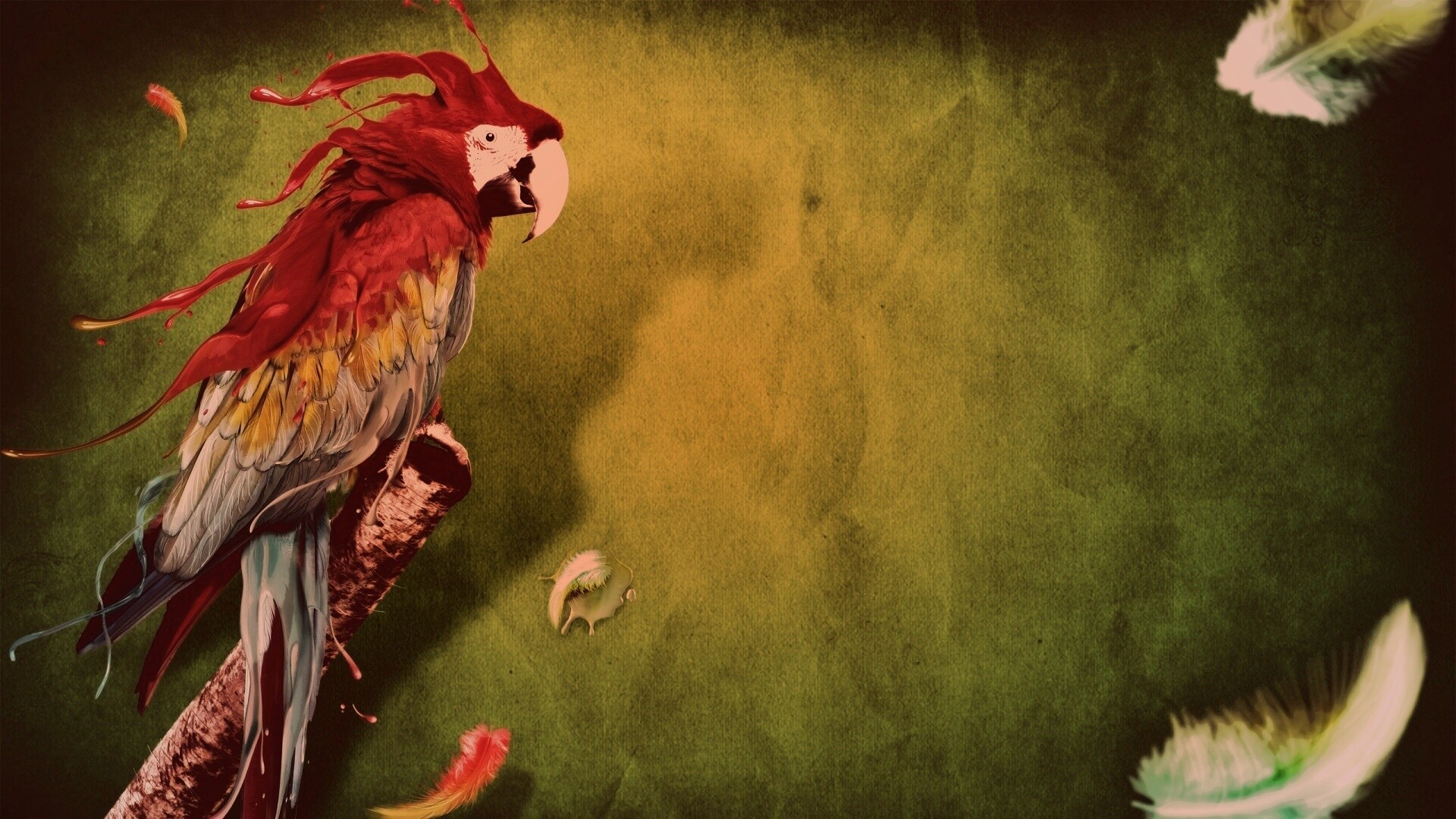 Попугай на ветке обои