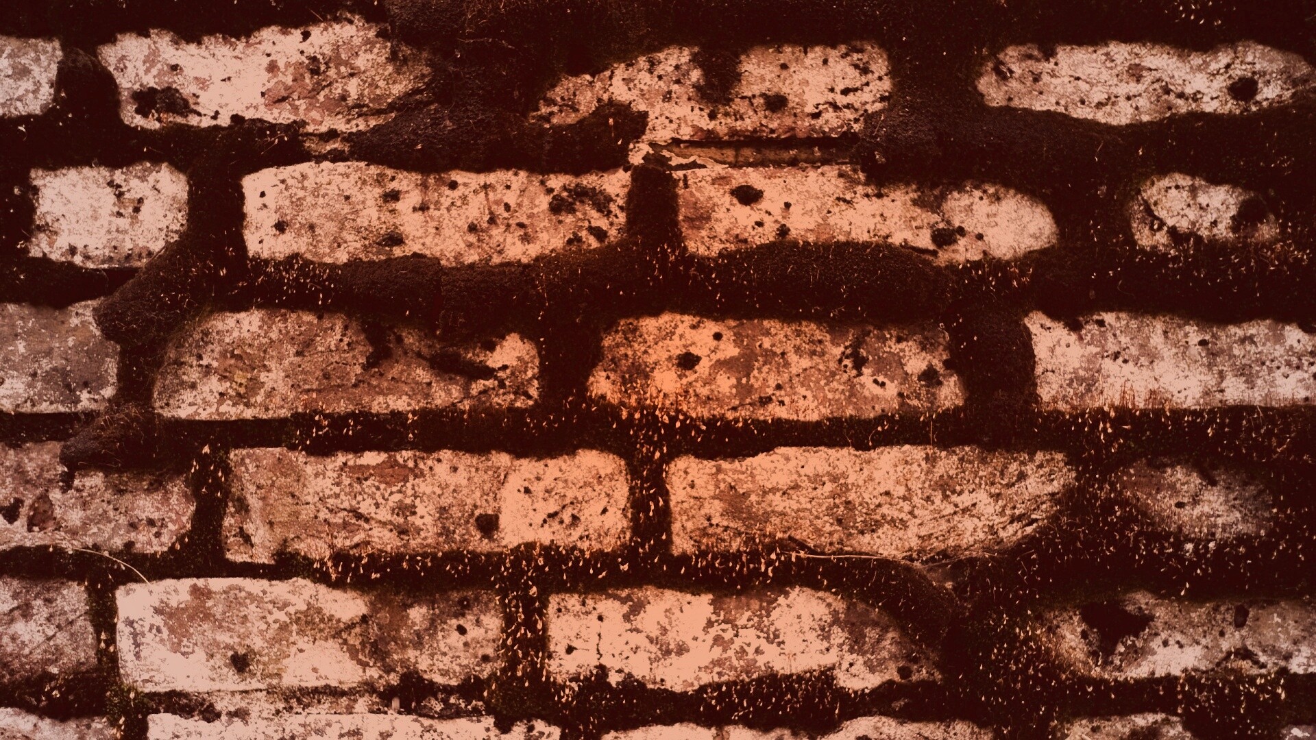 Кирпичная стена обои