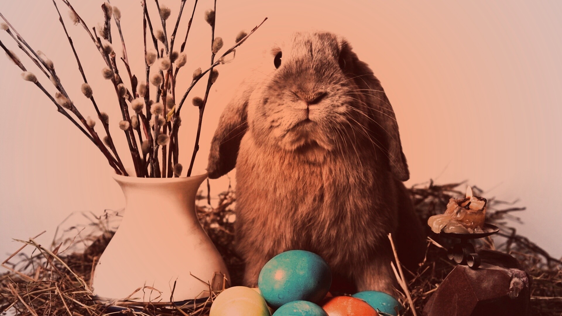 Пасхальный кролик обои
