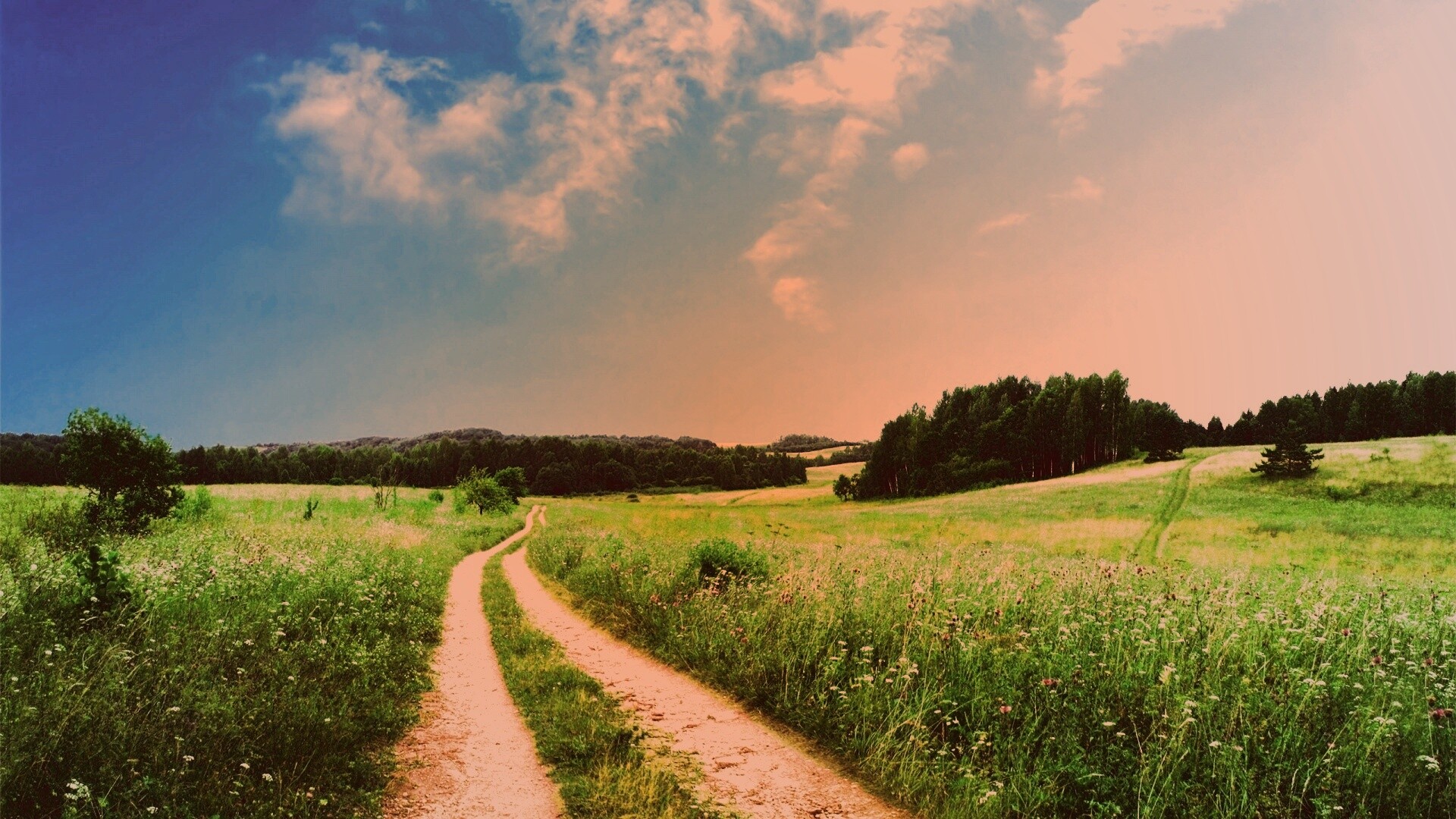 Дорога через луг обои