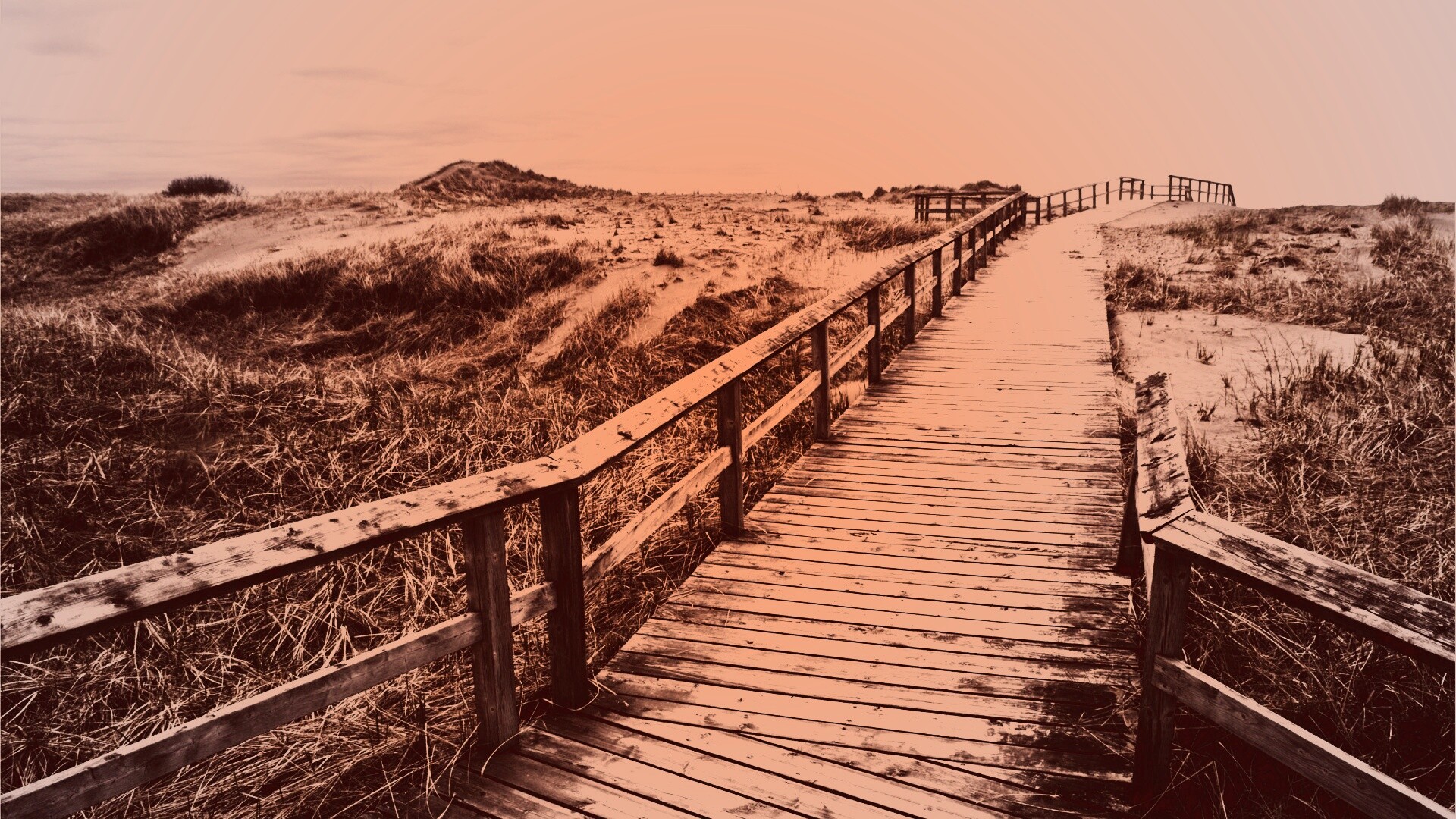 Деревянная дорога обои