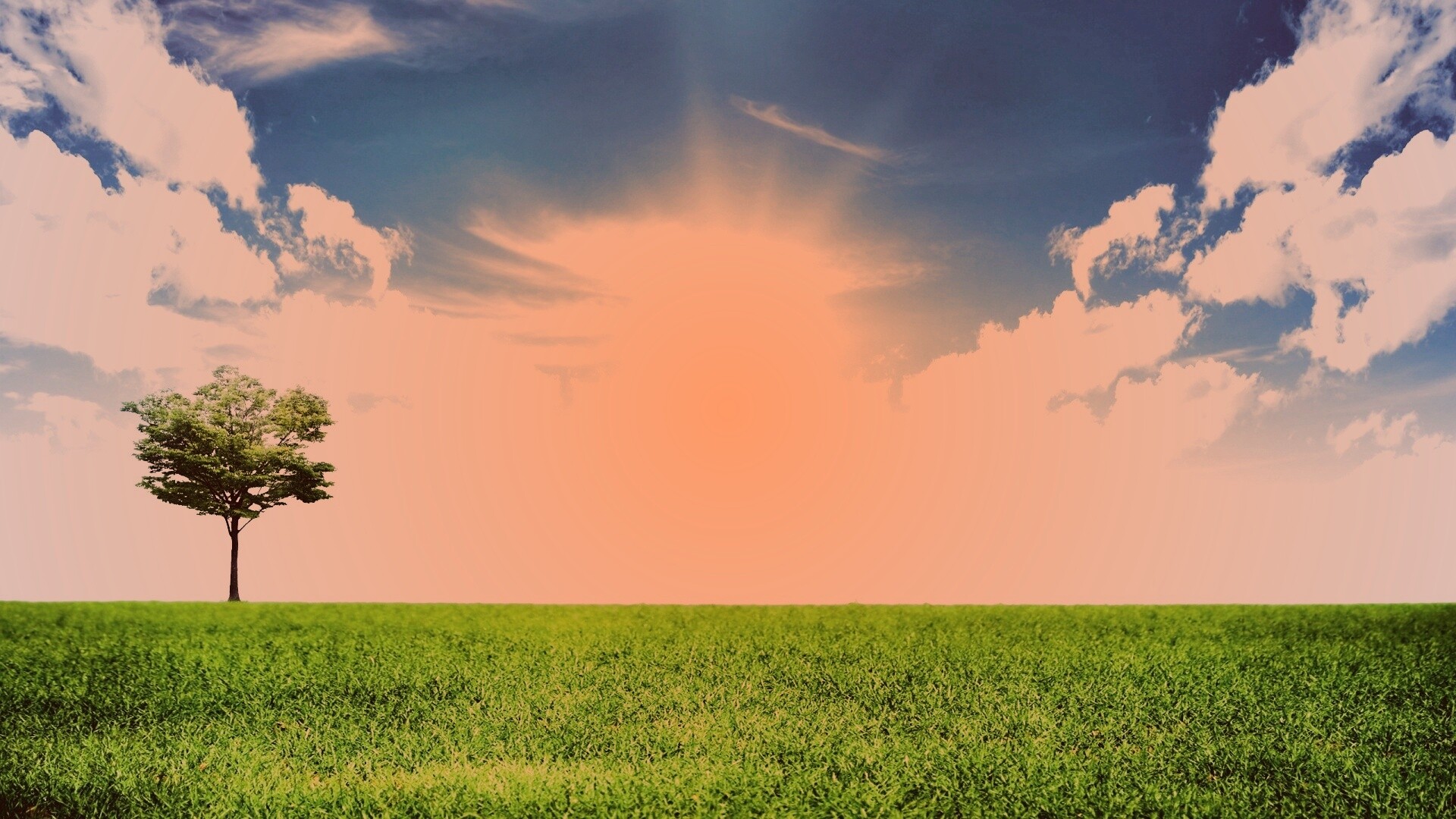 Один в целом мире обои