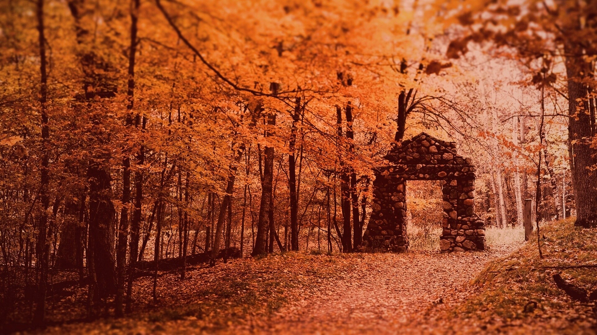 Каменная арка в осеннем лесу обои