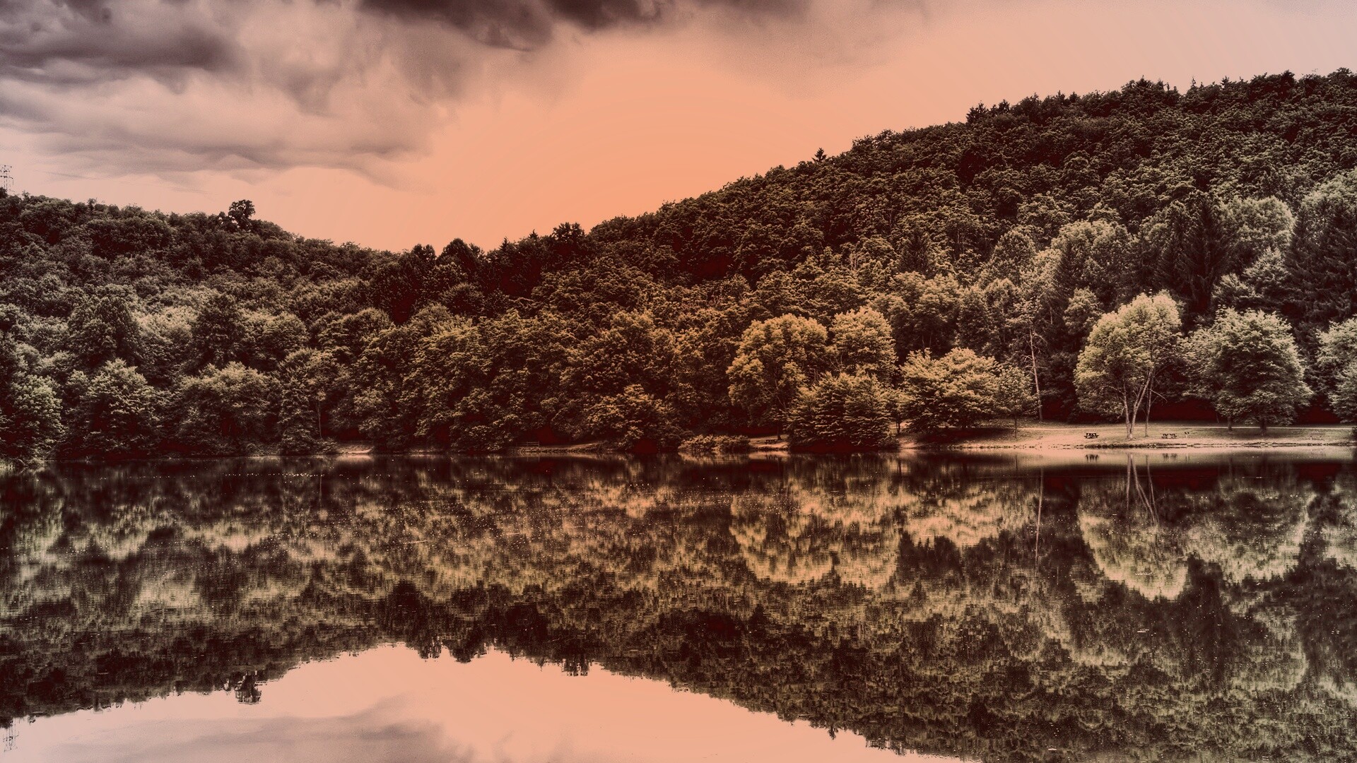 Лесной берег обои