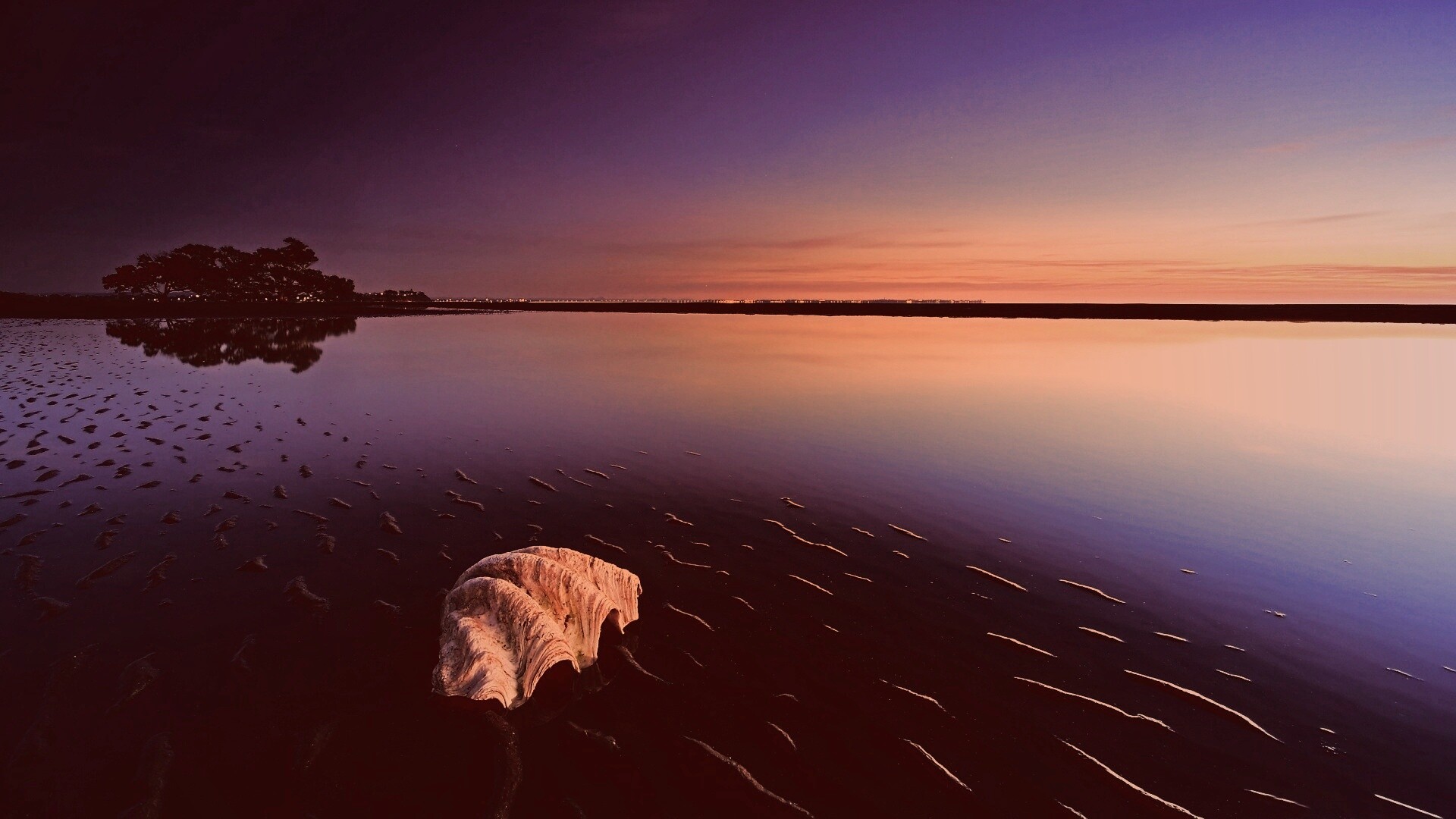 Закат на берегу моря обои