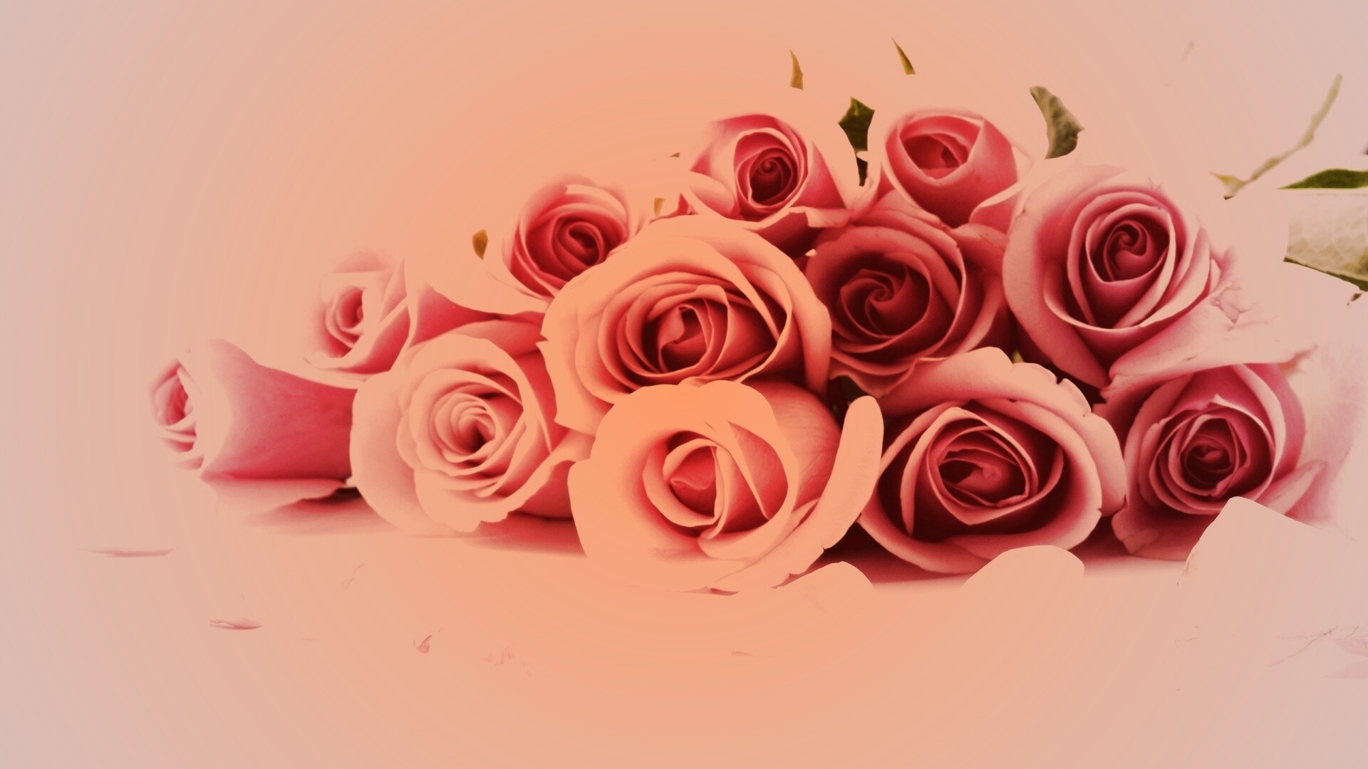 Букет роз обои