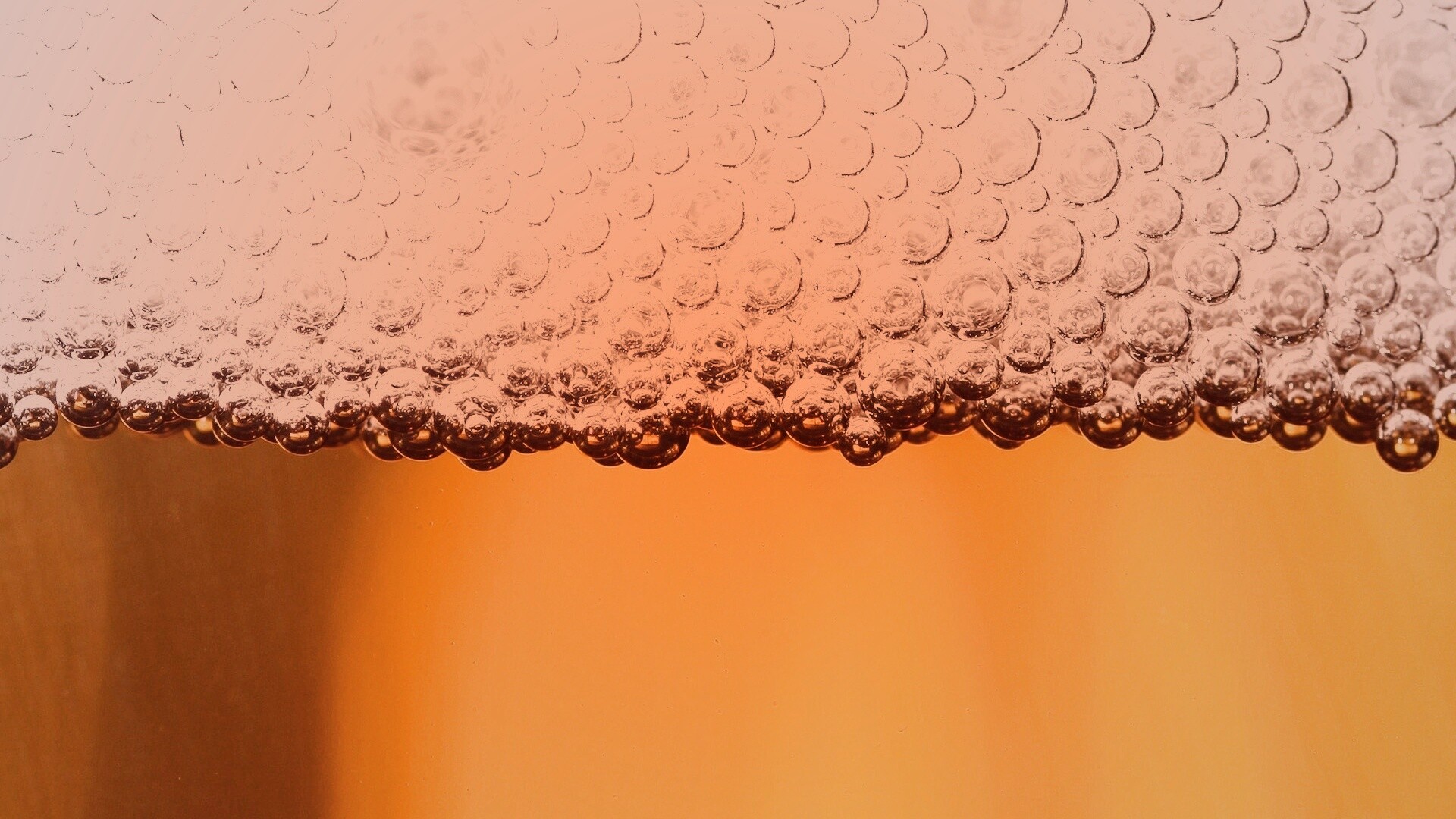 Пенное пиво в макро обои