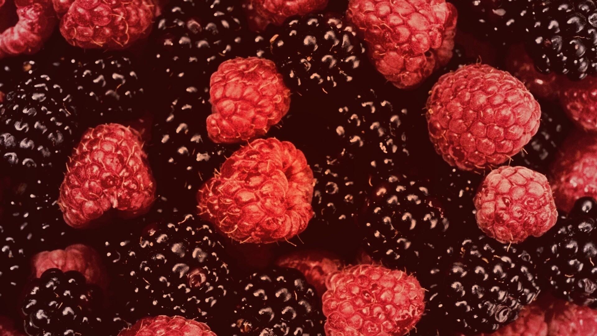 Малина и ежевика обои