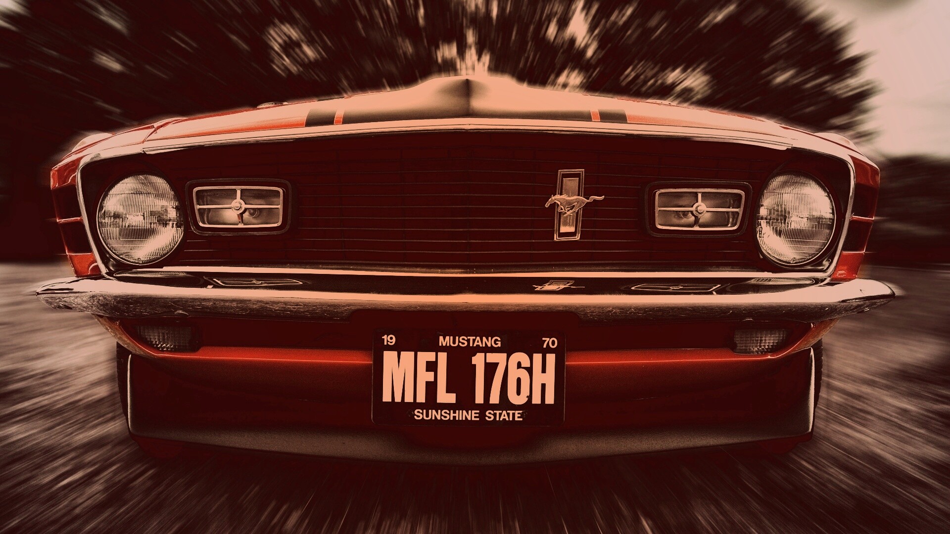 Мустанг обои