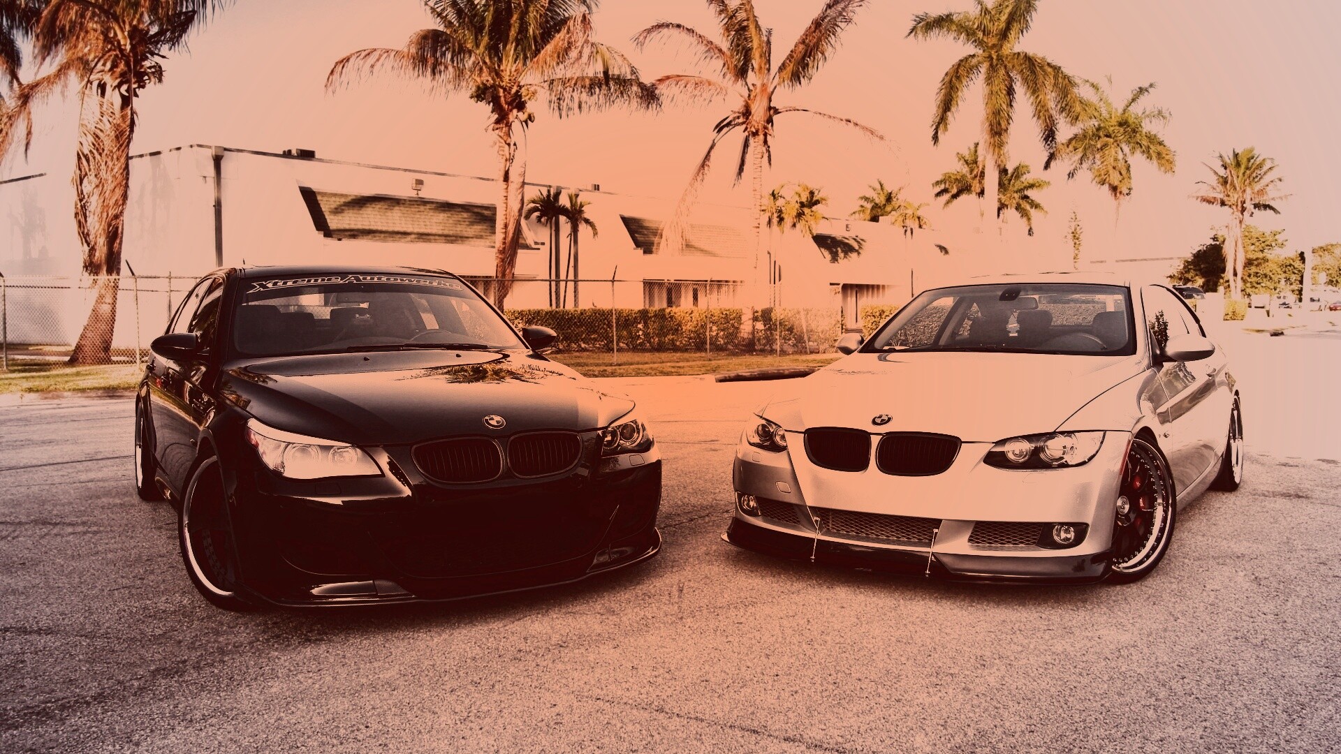 Две БМВ обои