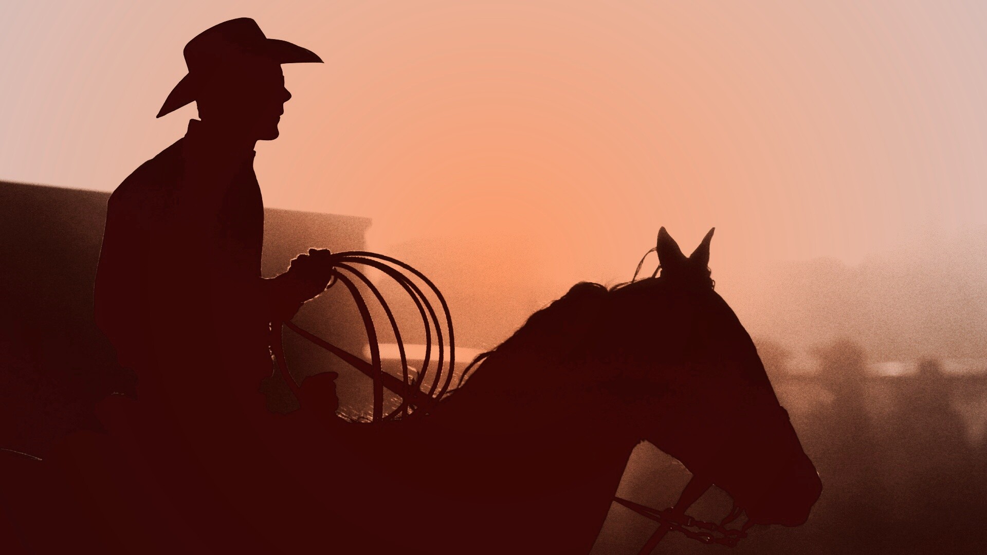 Ковбой с лассо на коне обои