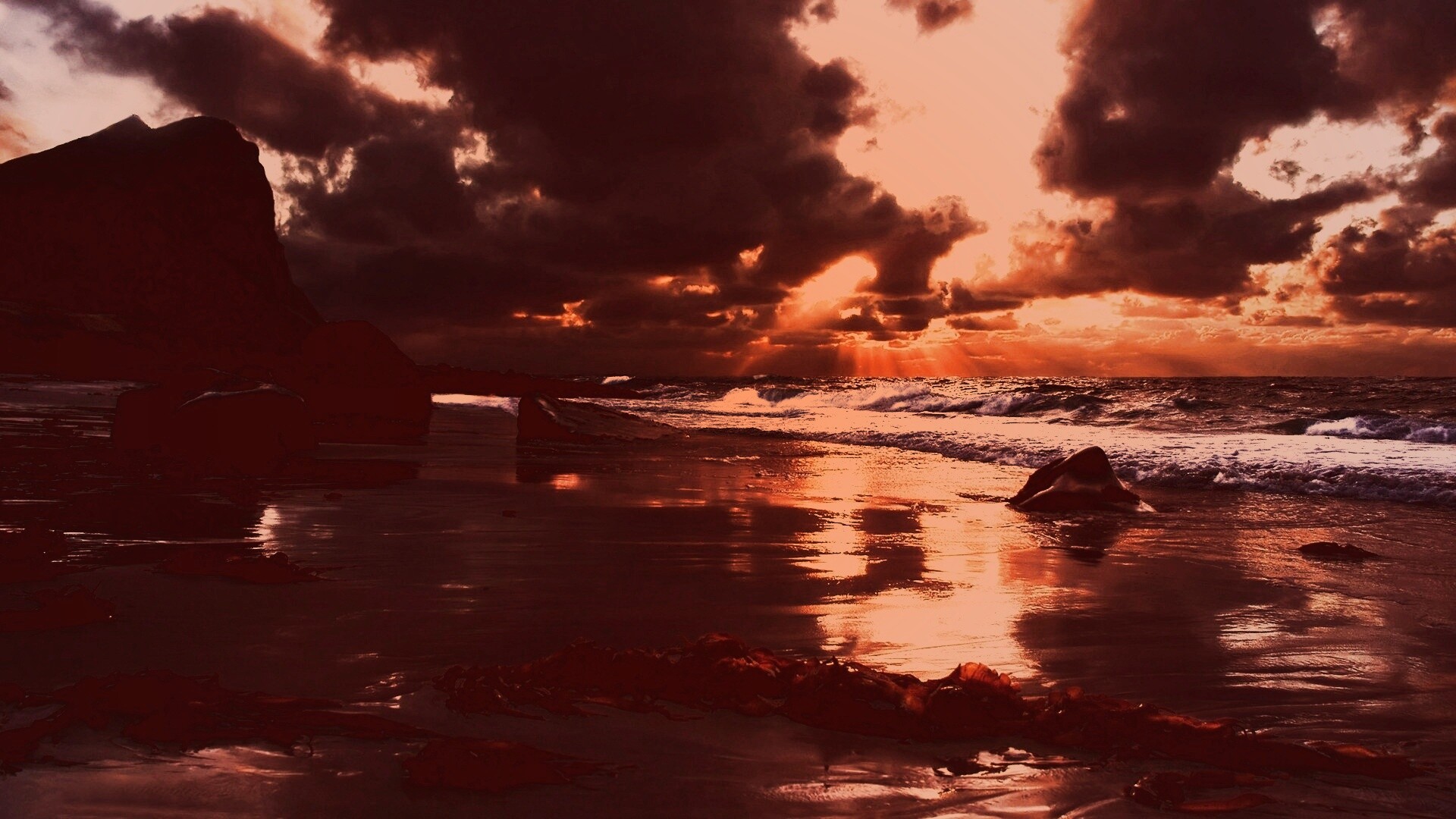 Океанский берег на закате обои