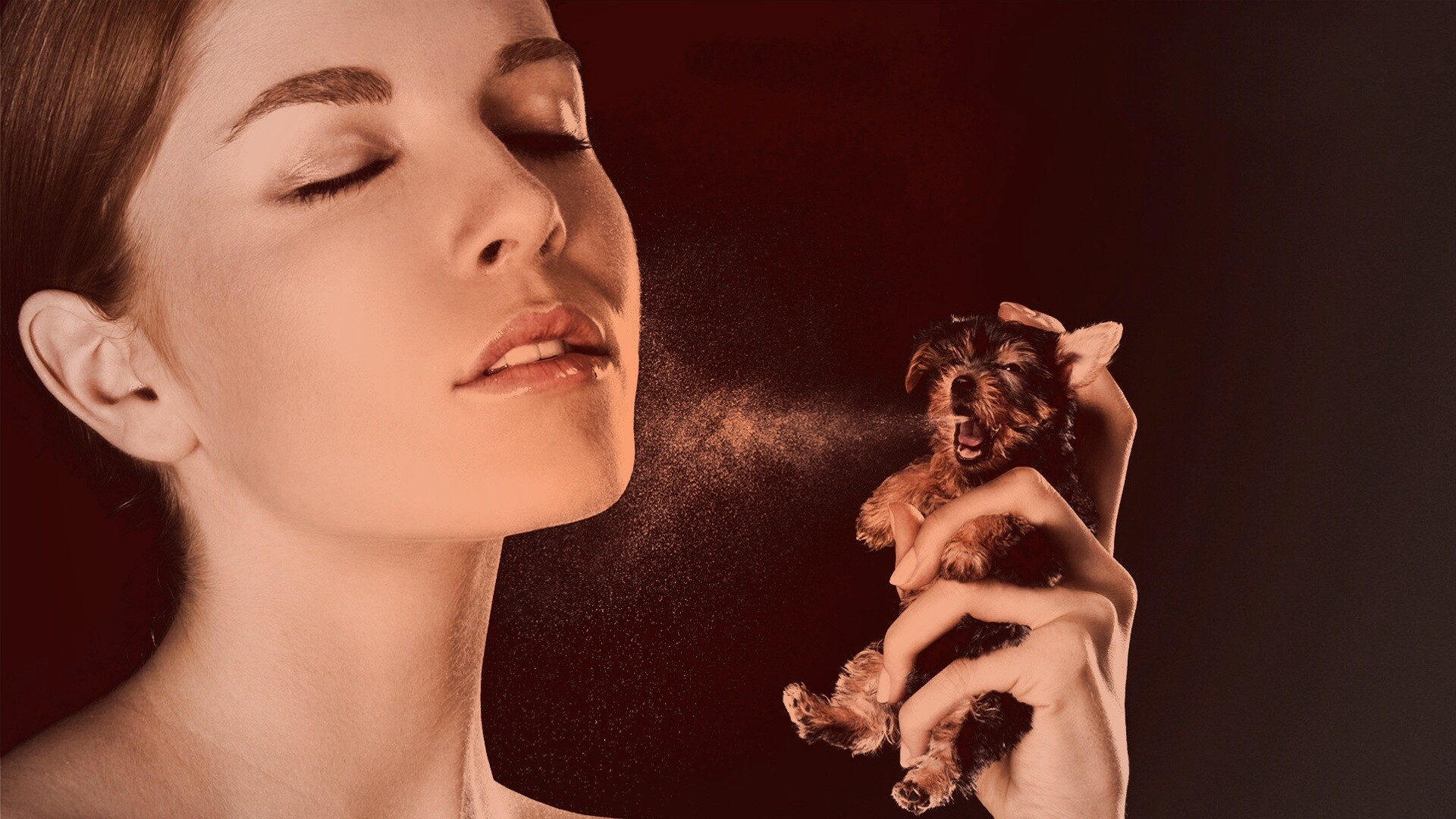 Соблюдайте гигиену обои