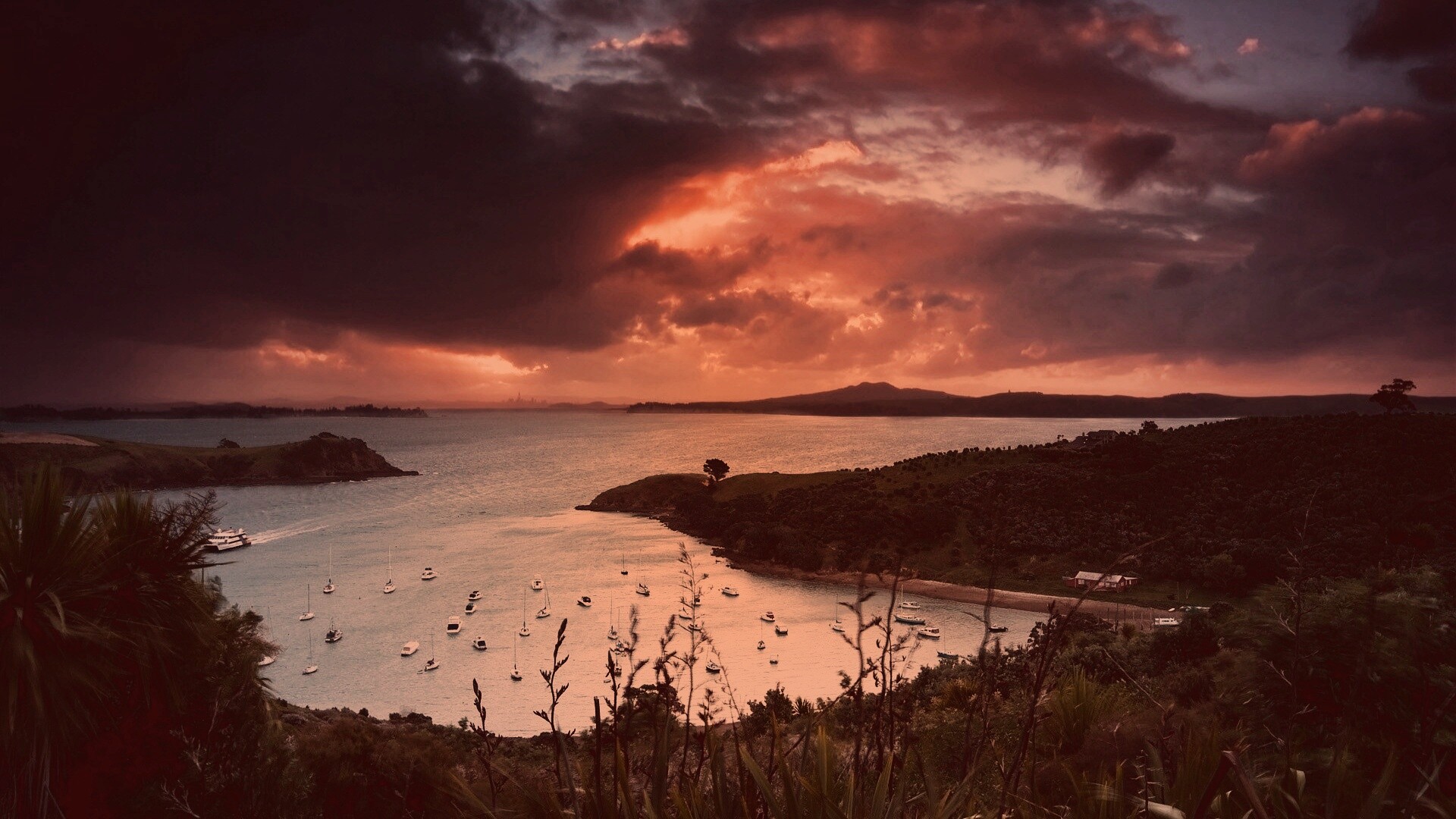 Waiheke Island, New Zealand обои