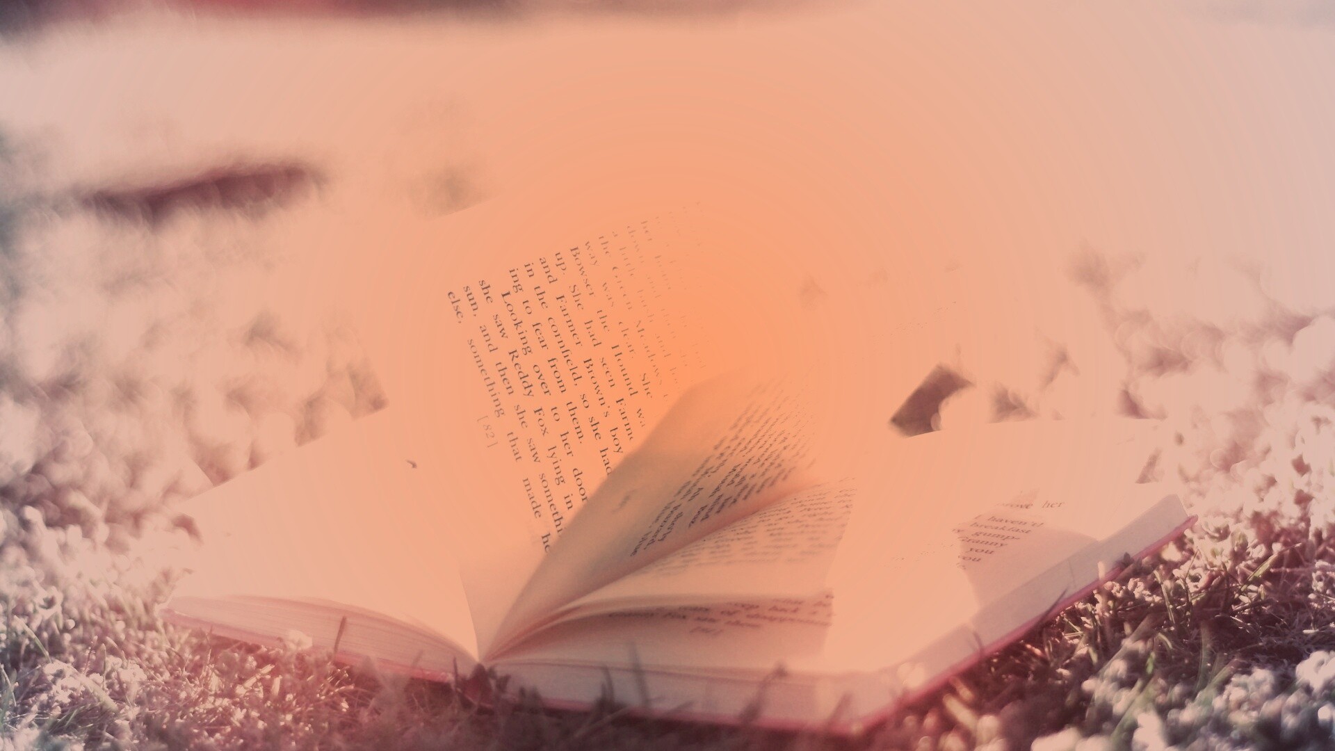 Книга в нежном свете обои