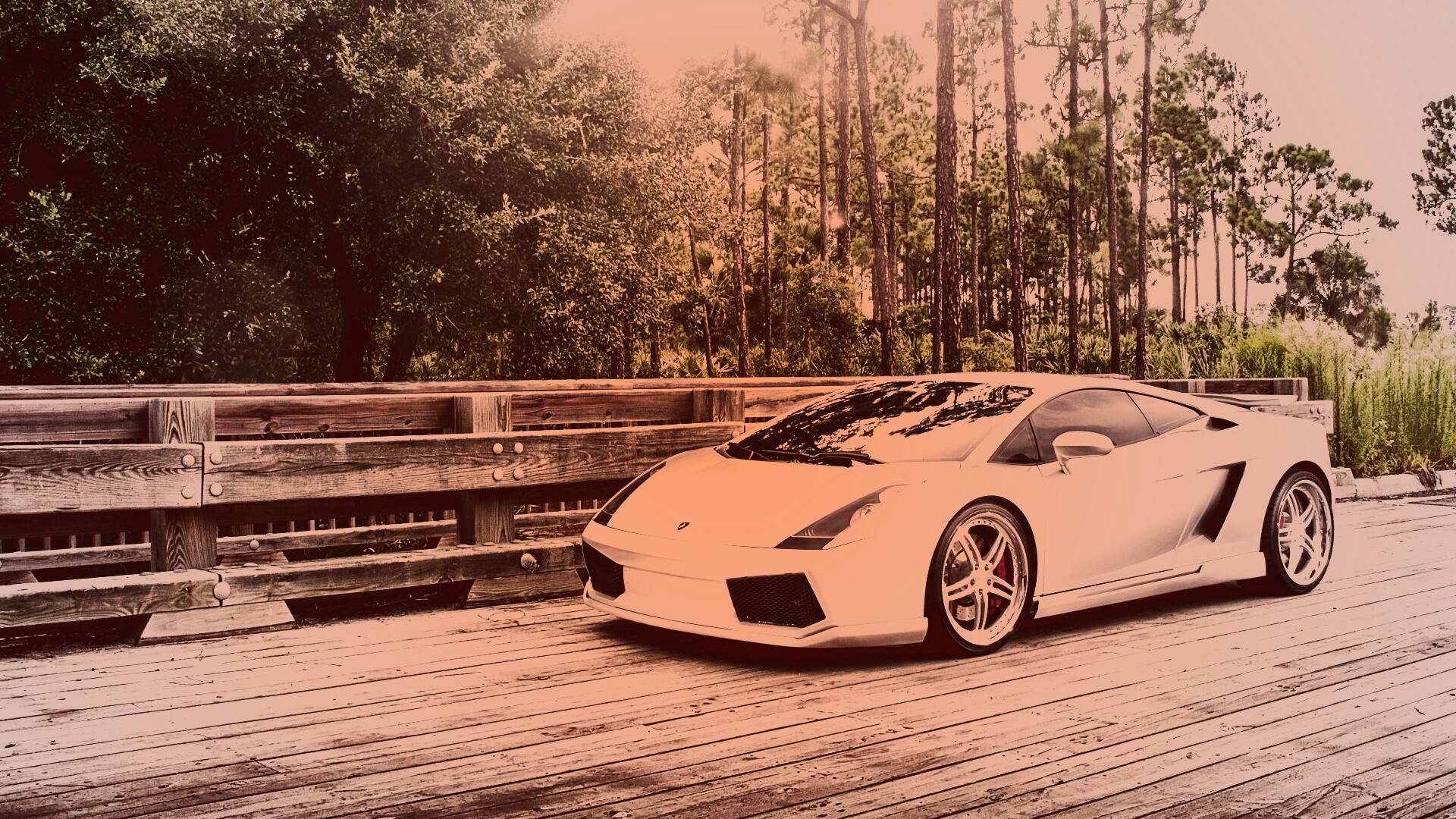 Ламбоджини на мосту в лесу обои