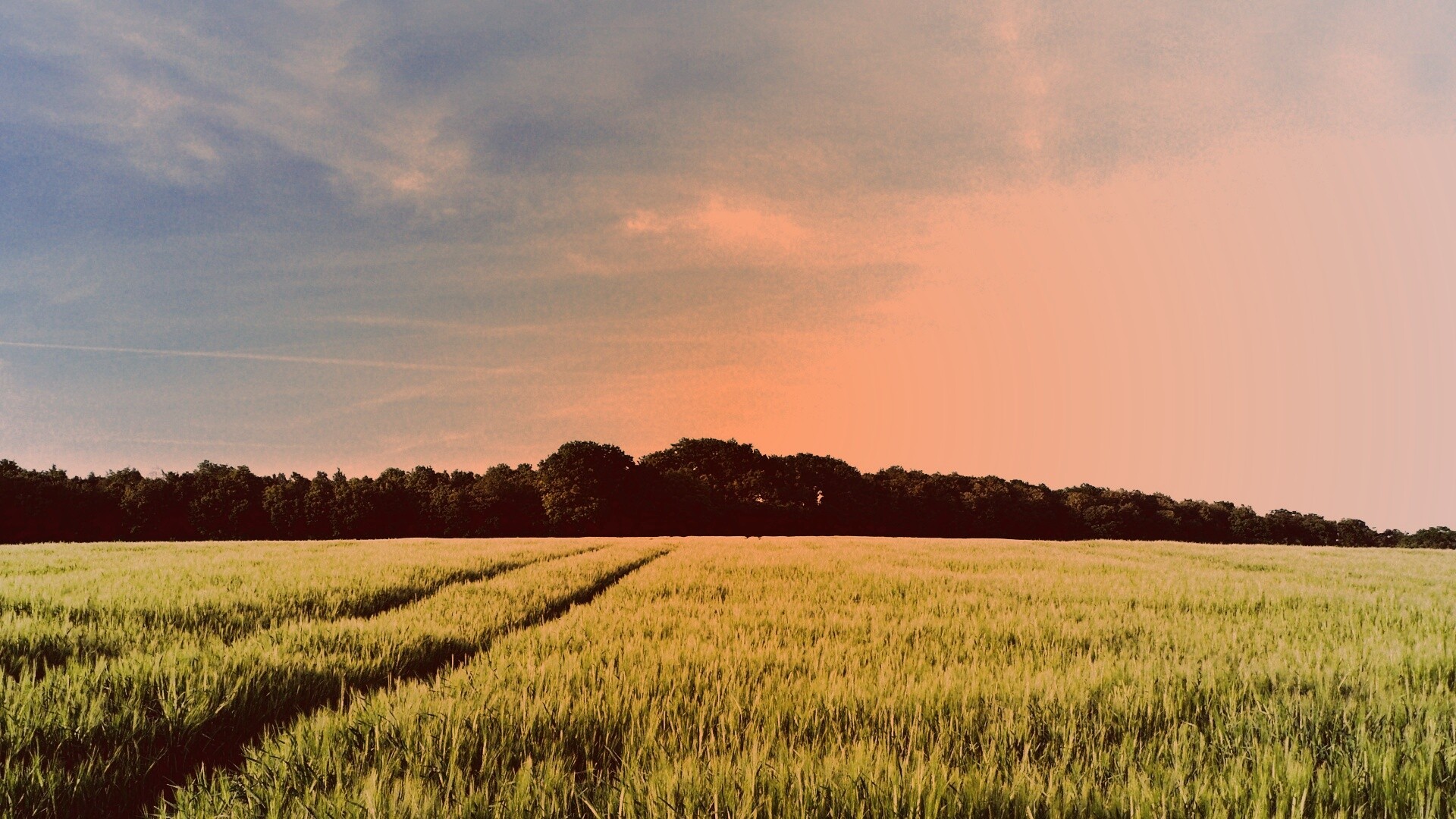 Следы колеи в поле обои