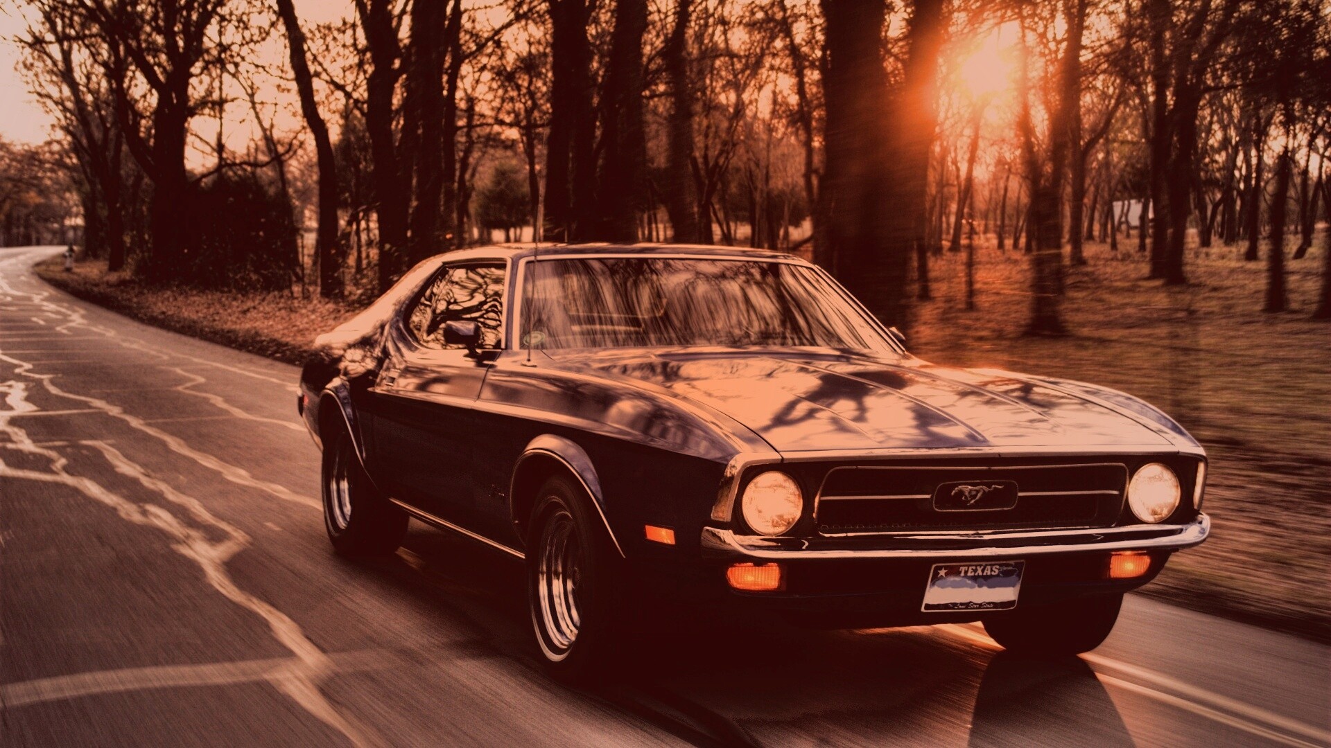 Мустанг обои