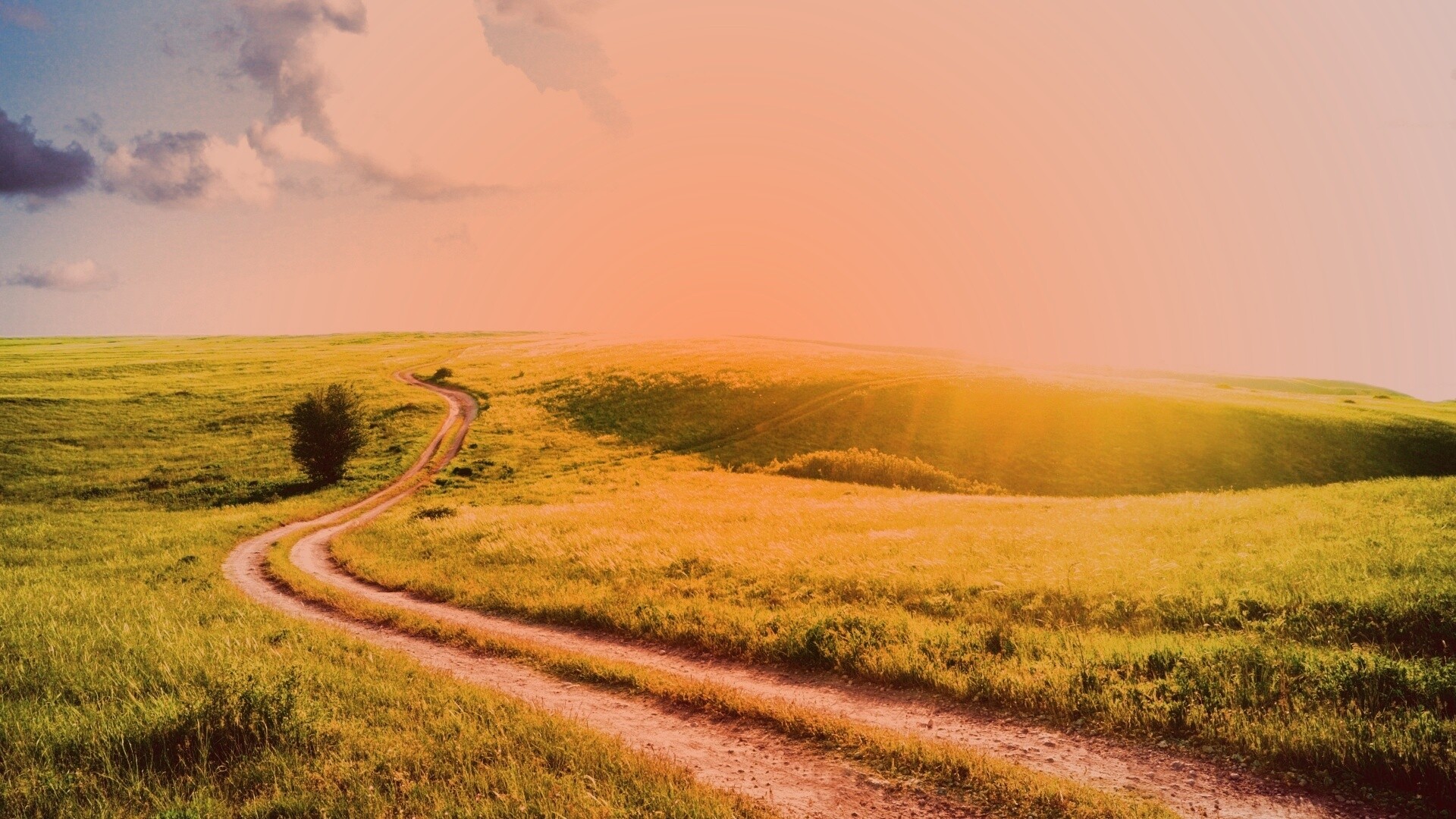 Дорога через луг обои