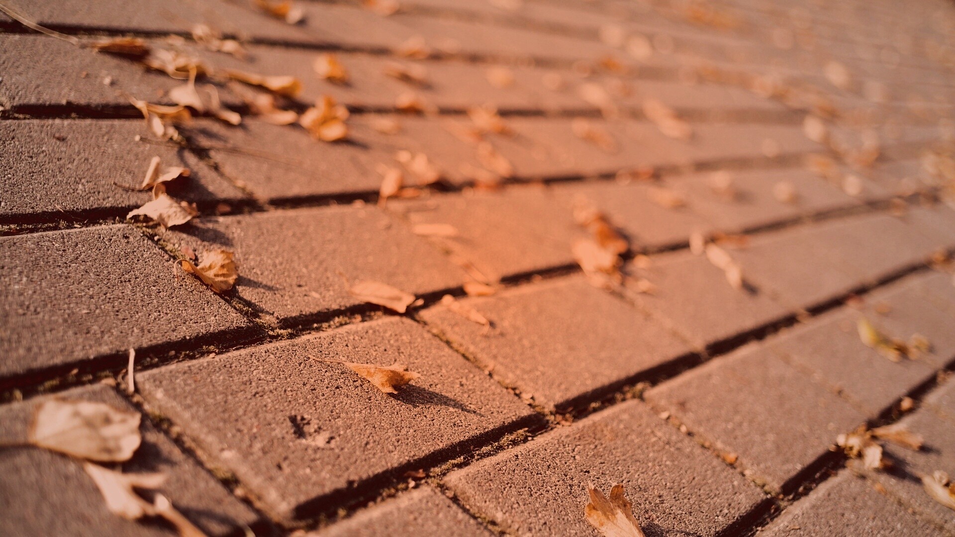 Тротуар обои