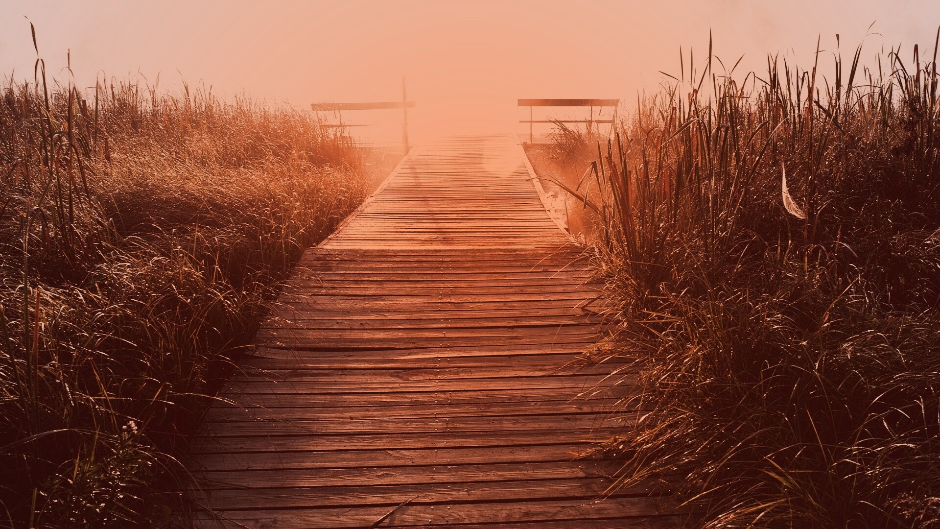 Выход к реке обои