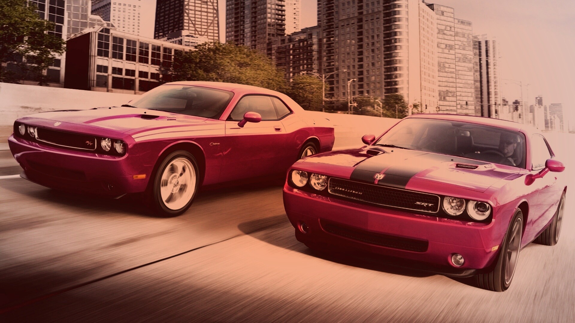 Два розовых мускулкара обои