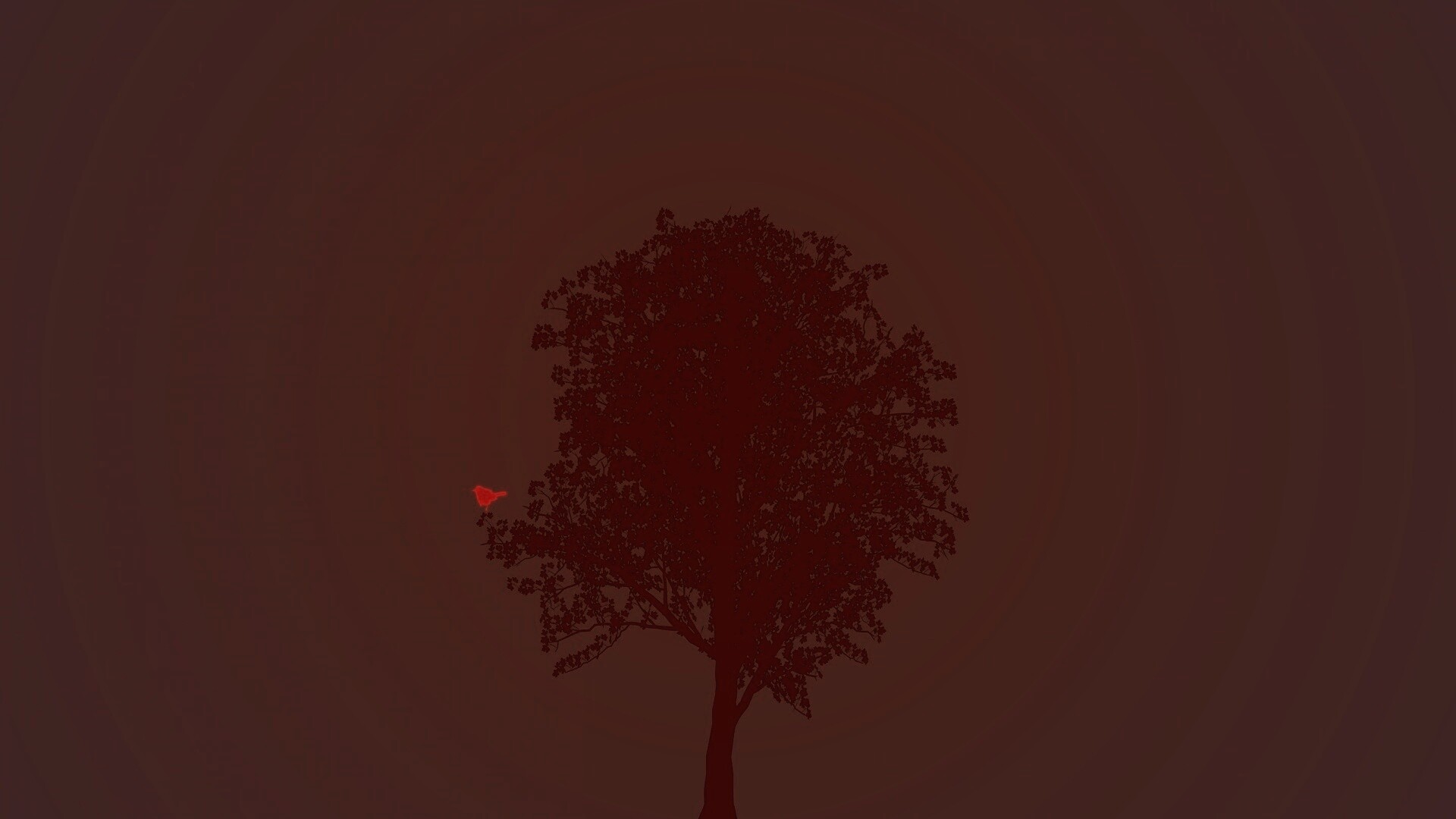 Дерево и птица обои